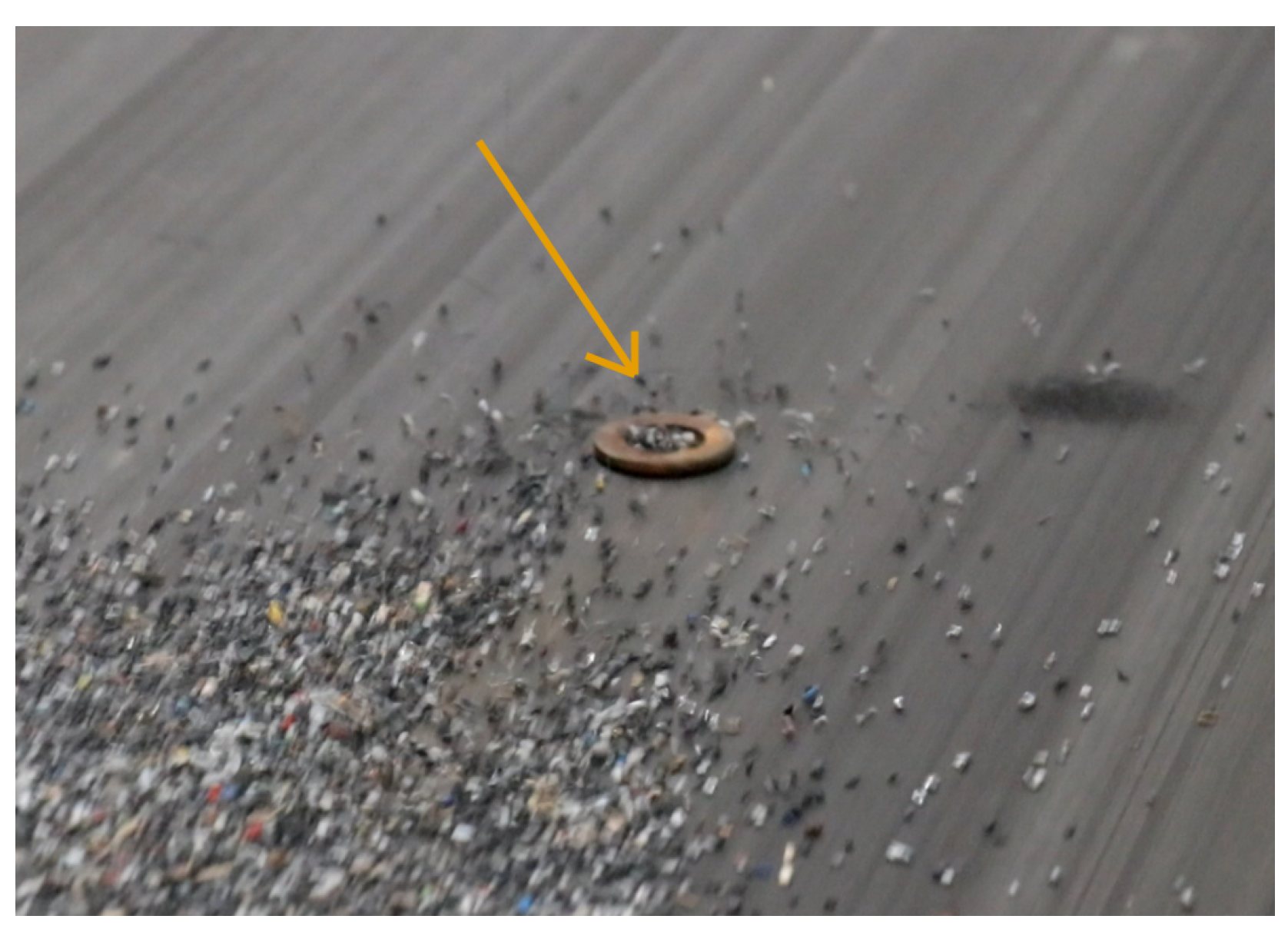 Sensors 25 04731 g017