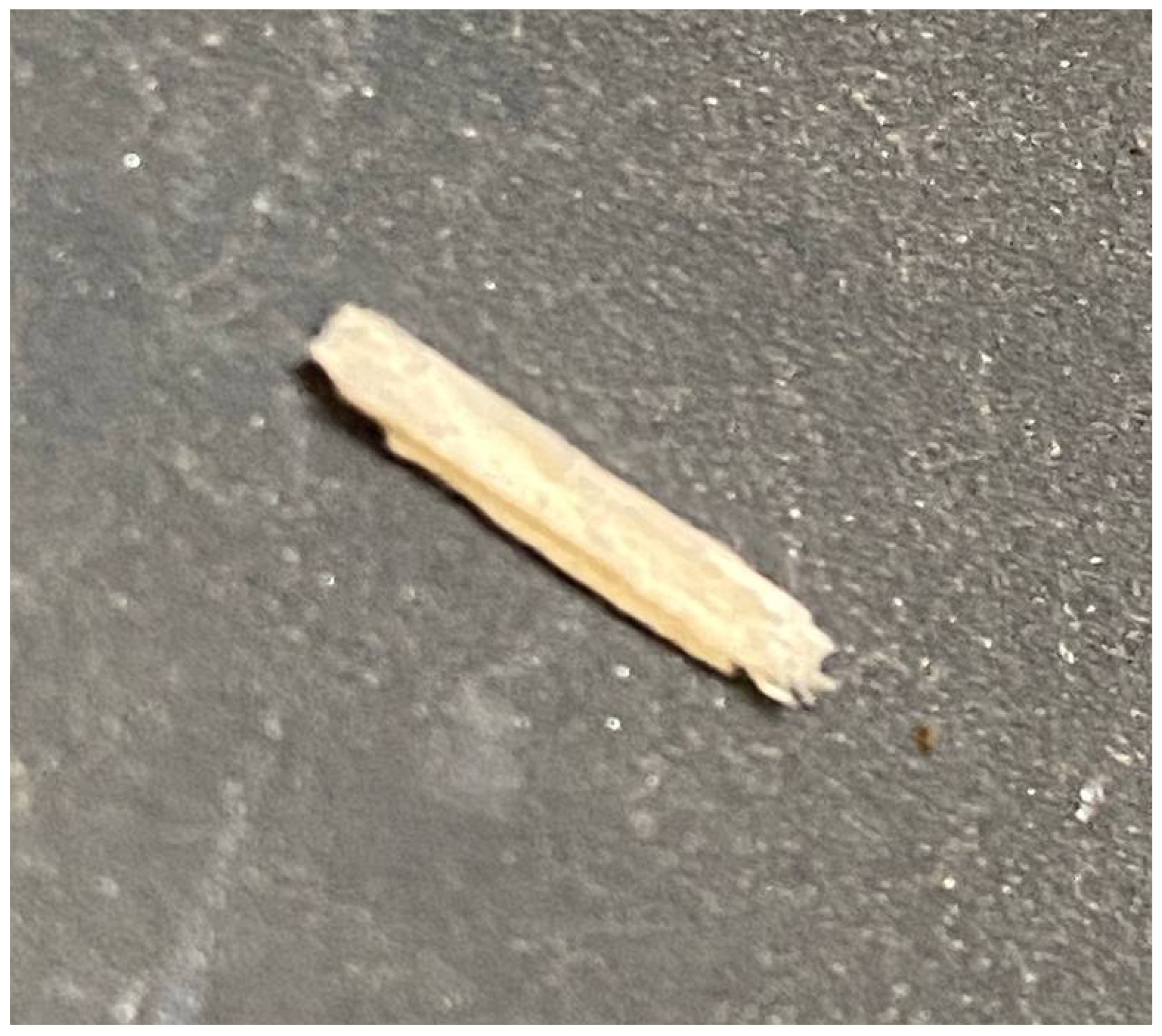 Sensors 25 04731 g037