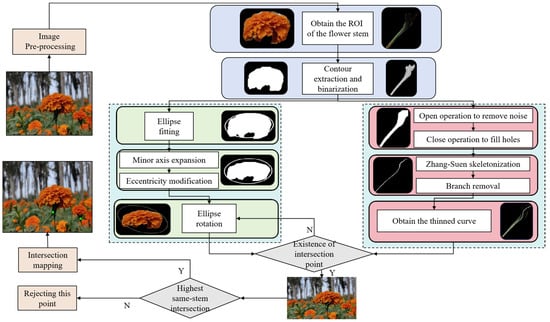 Sensors 25 04820 g007