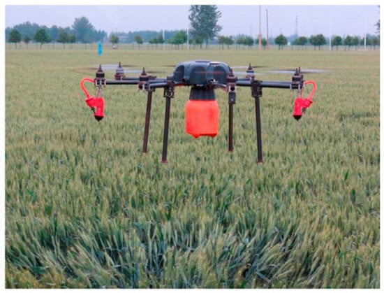 Sensors 25 04876 g005