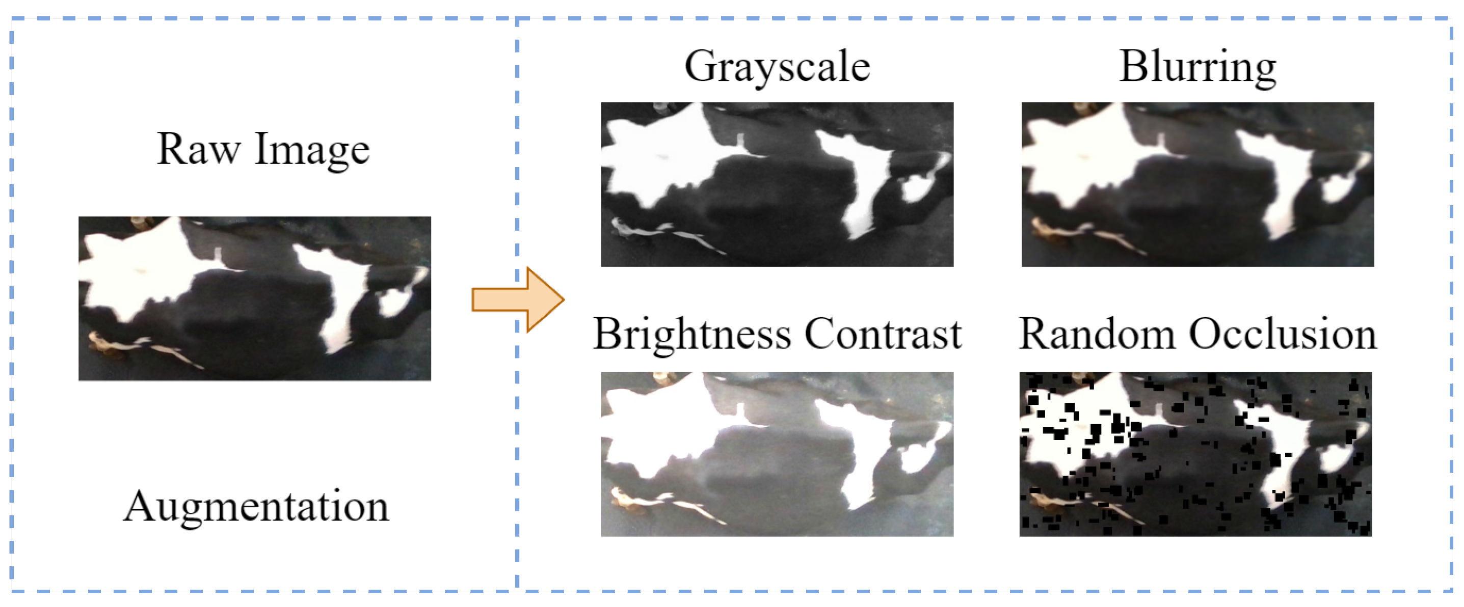 Sensors 25 04910 g005
