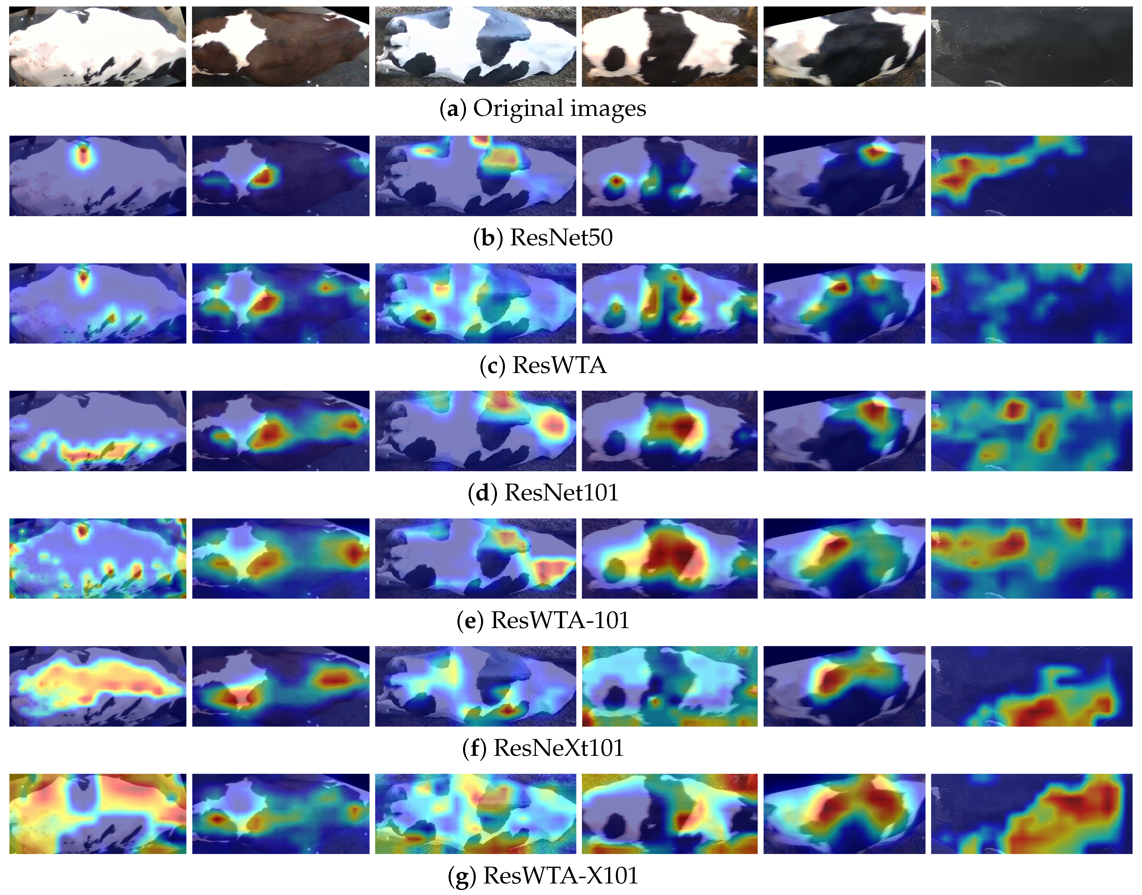 Sensors 25 04910 g009