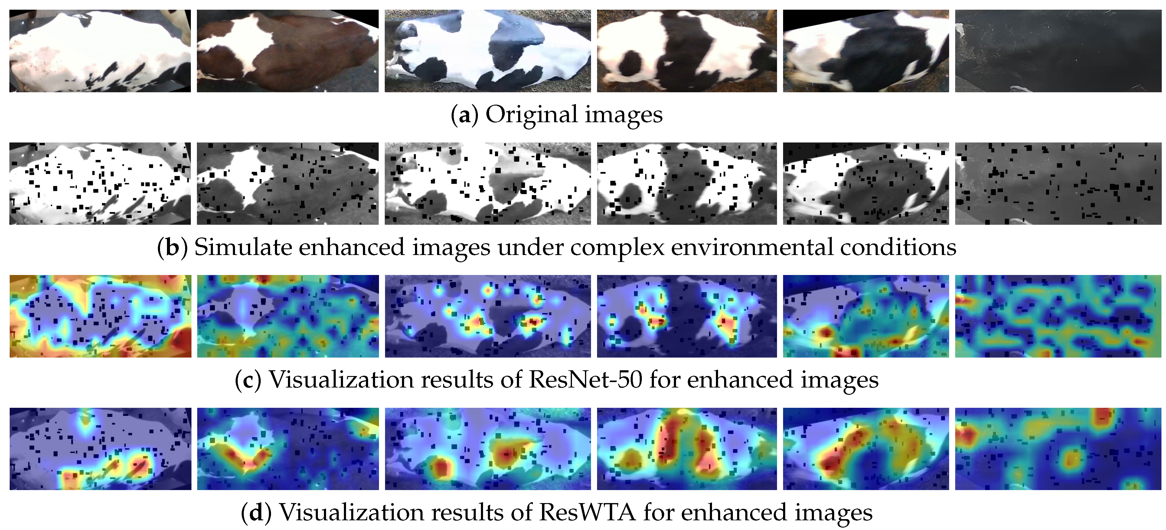 Sensors 25 04910 g010