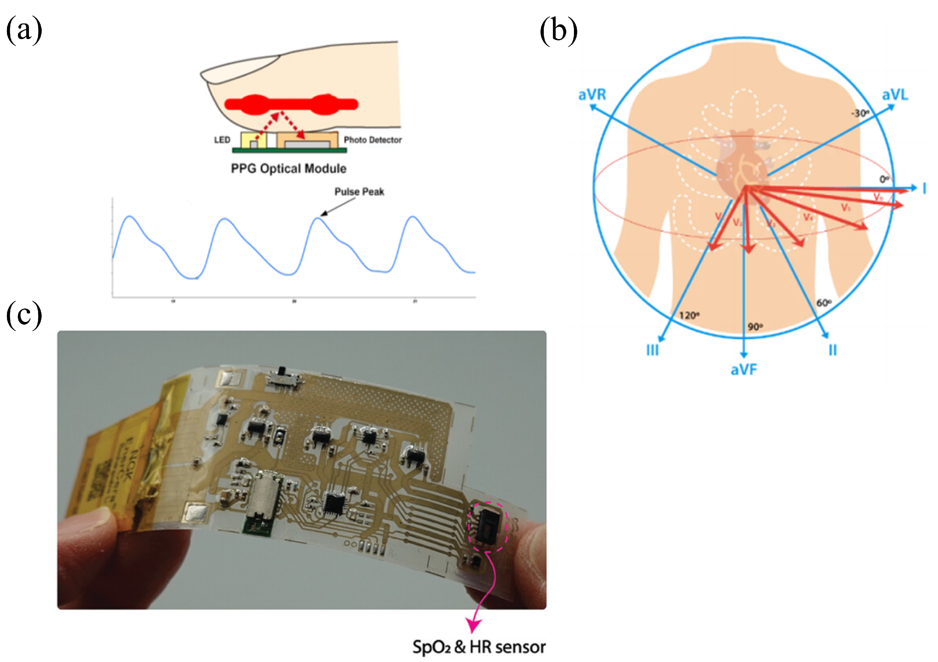 Sensors 25 04913 g002