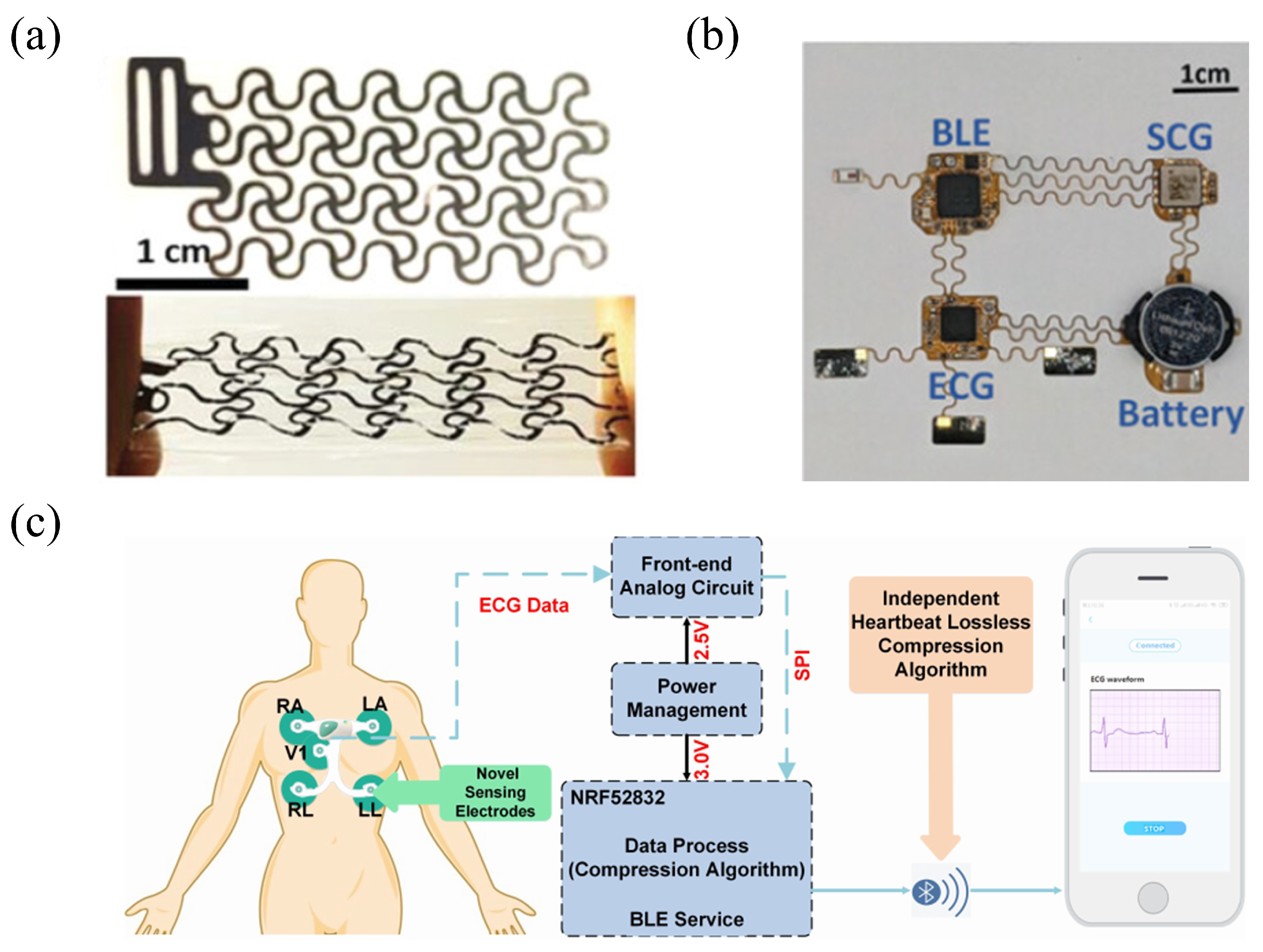 Sensors 25 04913 g003