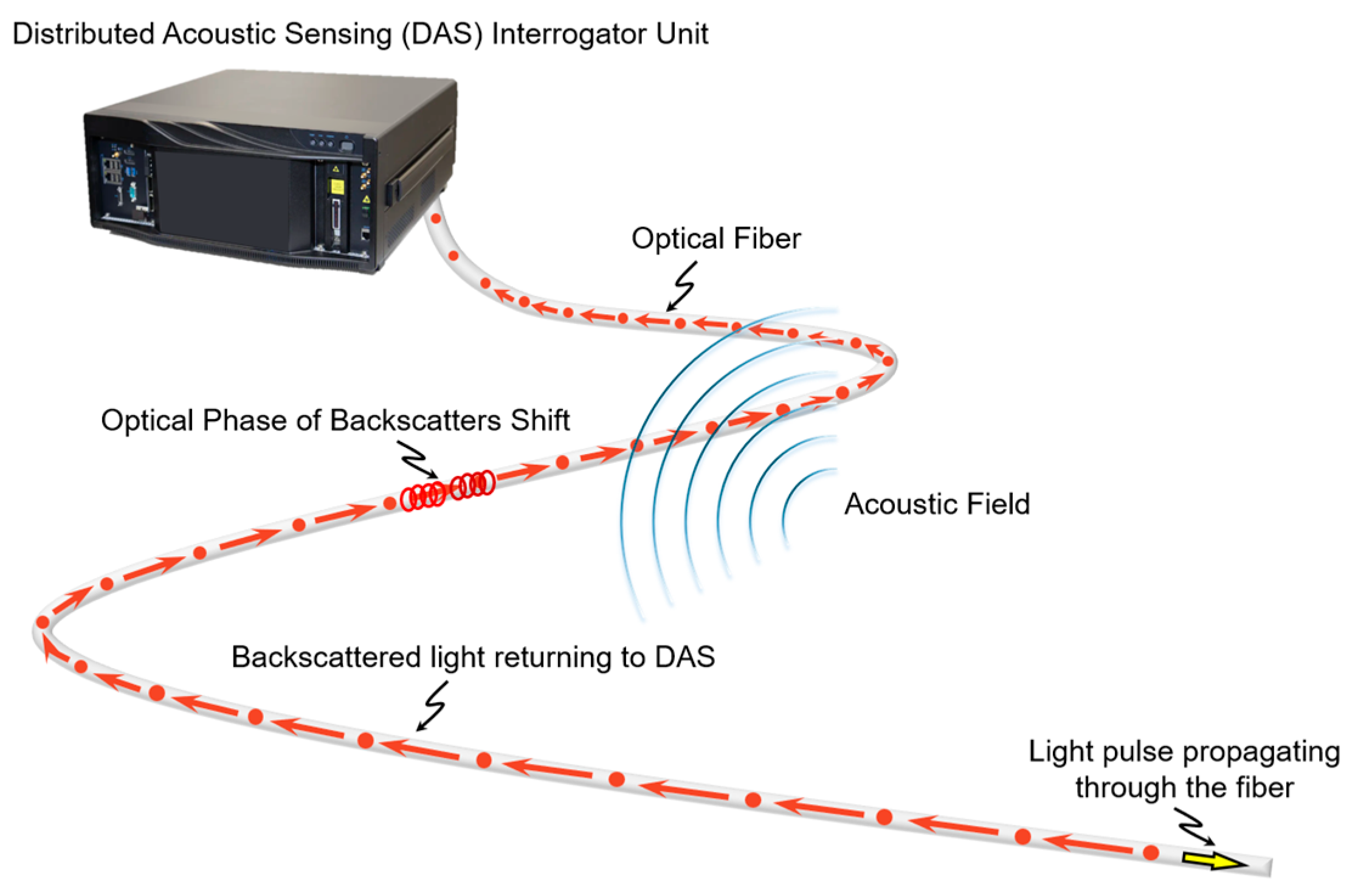 Sensors 25 04937 g001 Sensors 25 04937 g001