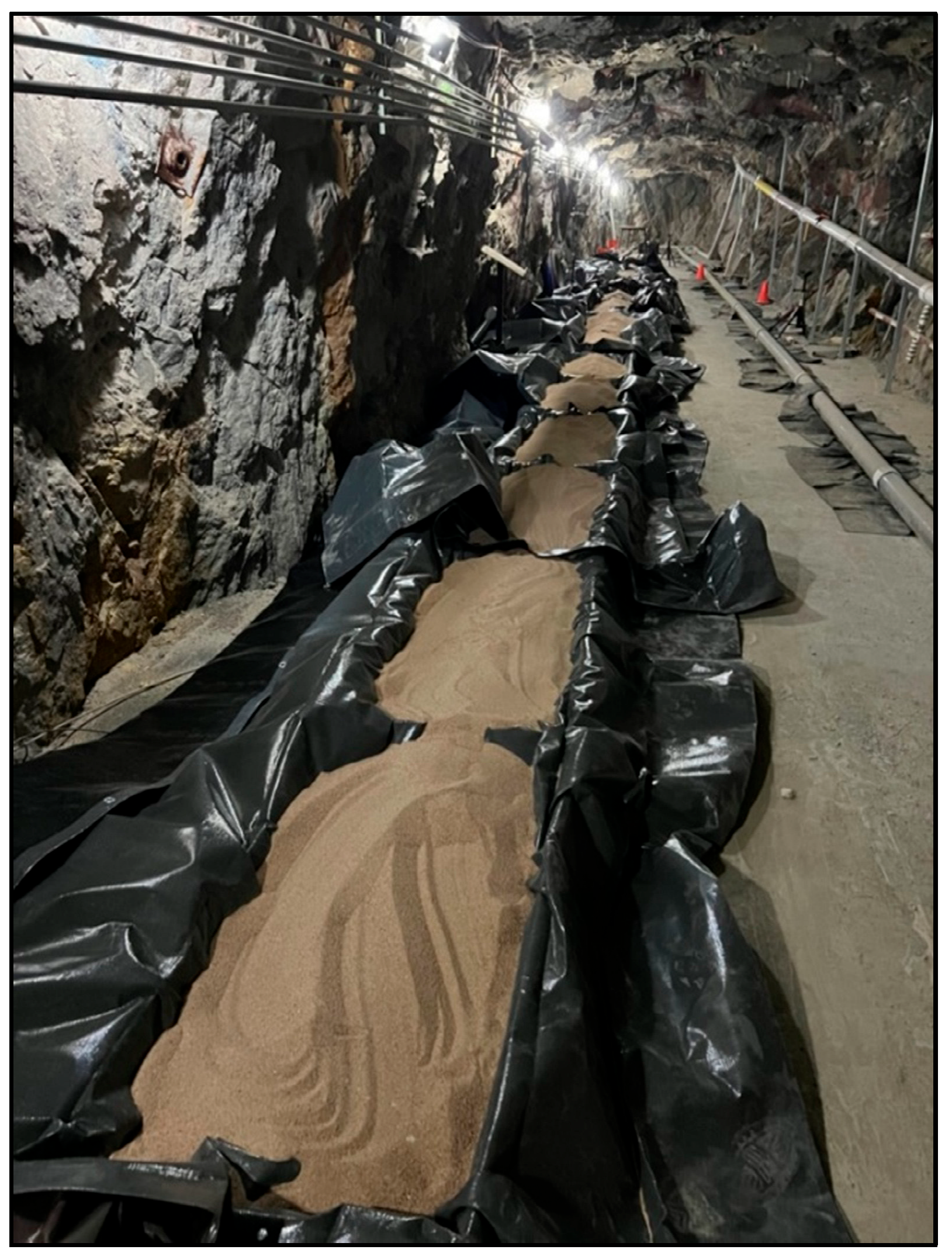 Sensors 25 04937 g003 Sensors 25 04937 g003