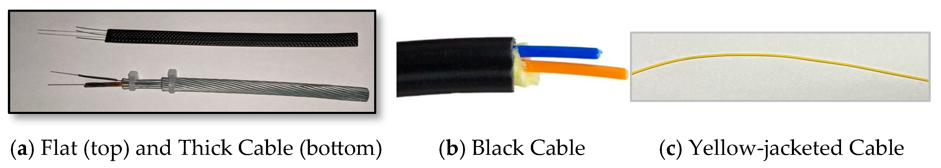 Sensors 25 04937 g004 Sensors 25 04937 g004