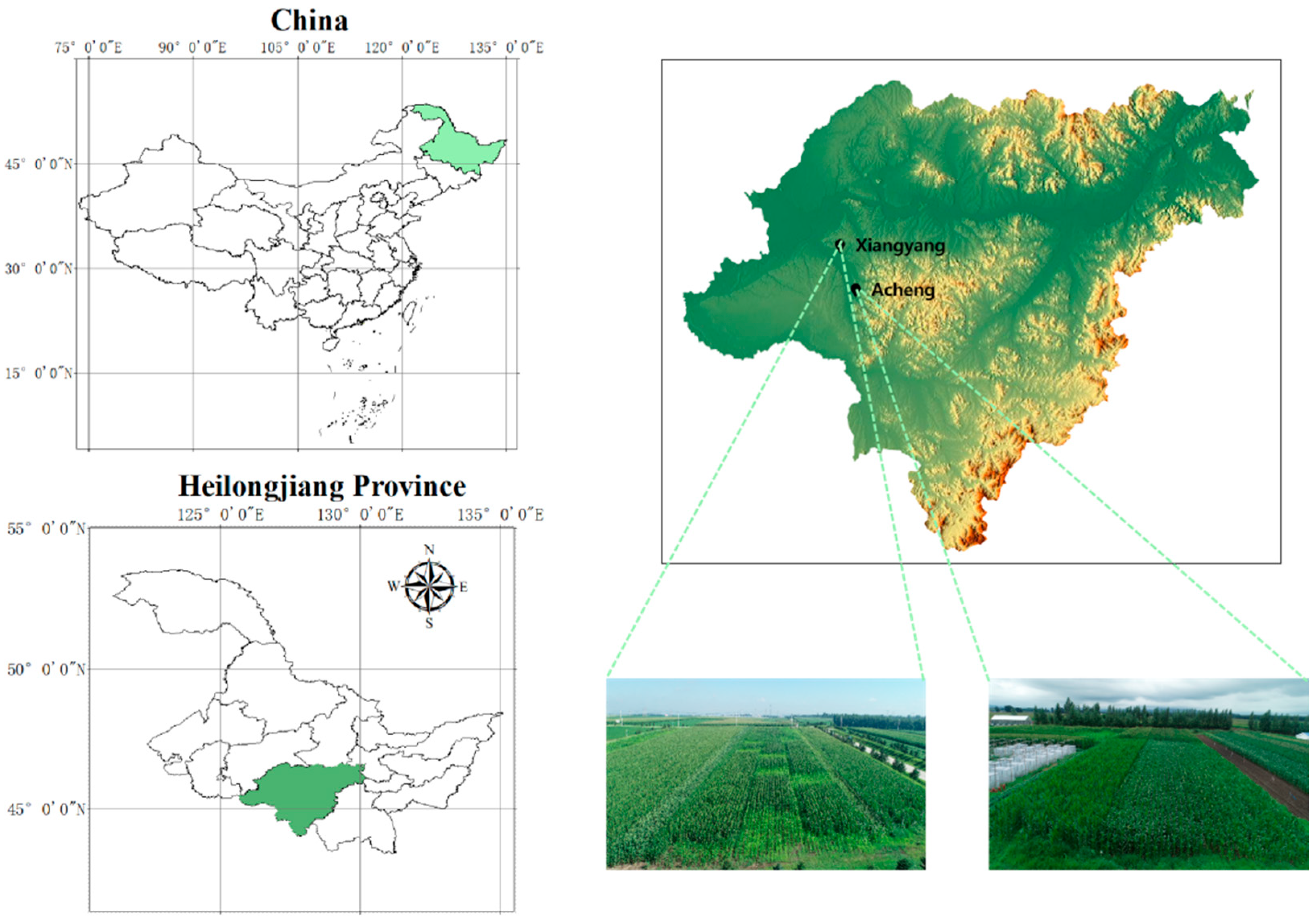 Sensors 25 04954 g001