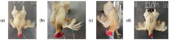 Sensors 25 05028 g003