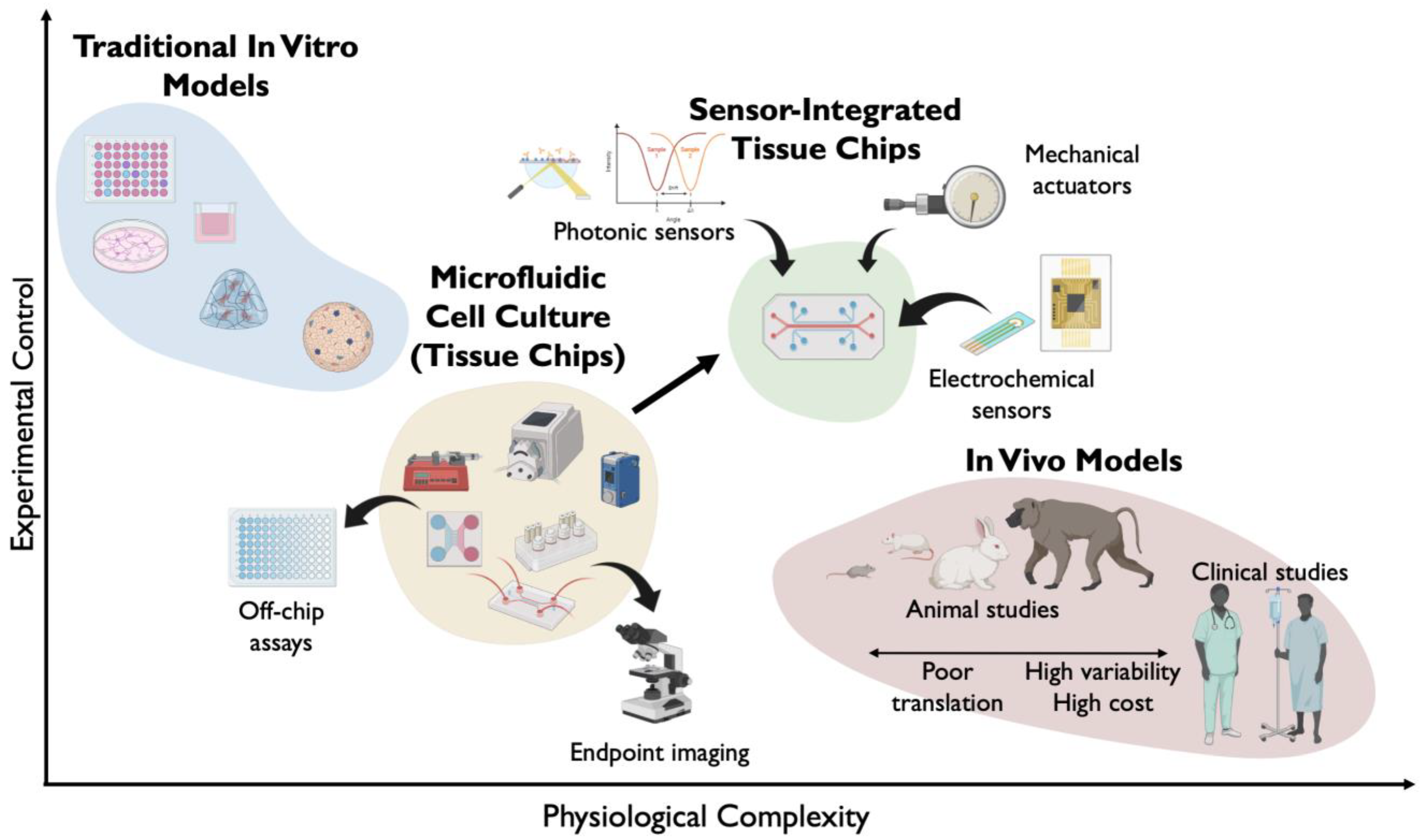 Sensors 25 05153 g001 Sensors 25 05153 g001