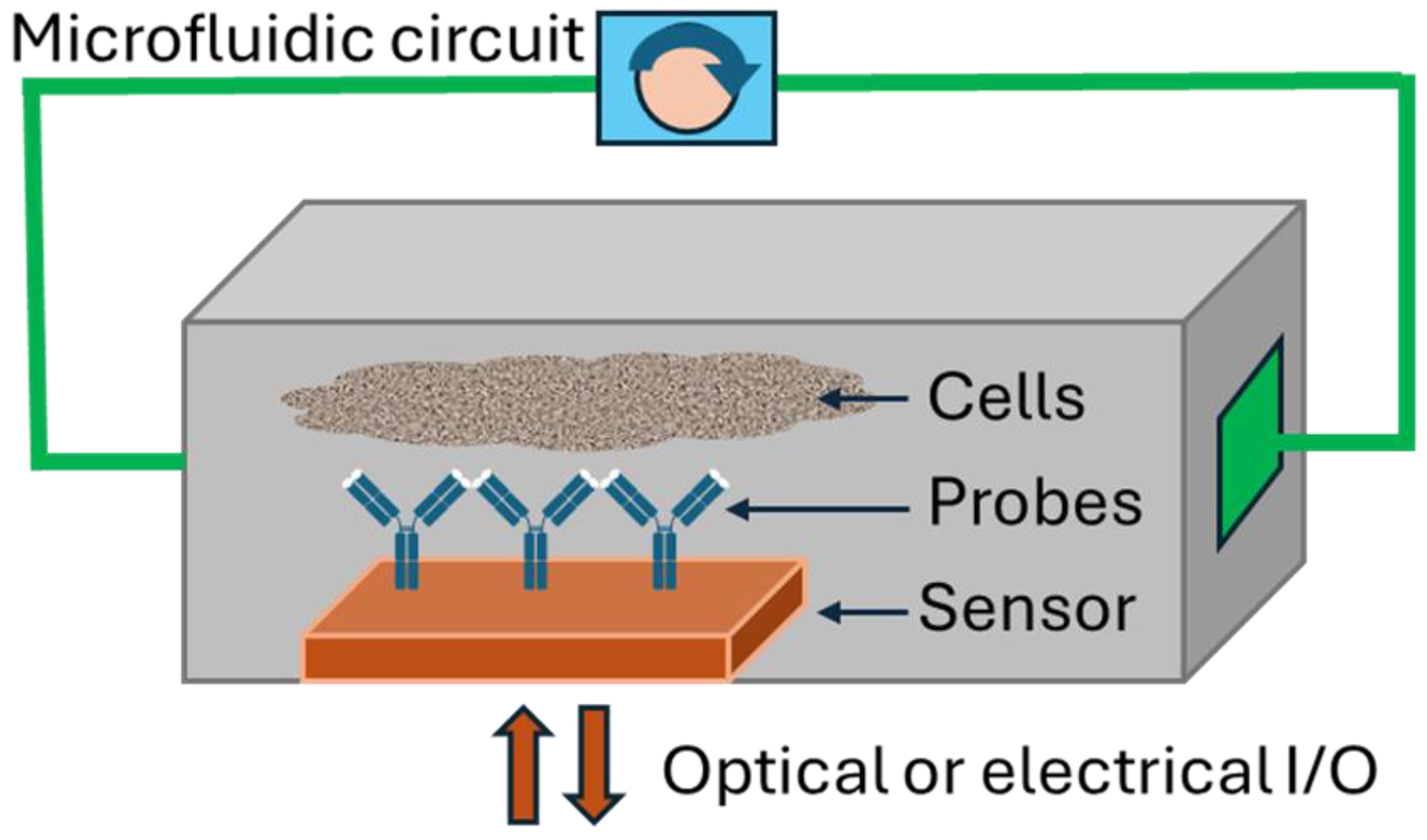 Sensors 25 05153 g002 Sensors 25 05153 g002