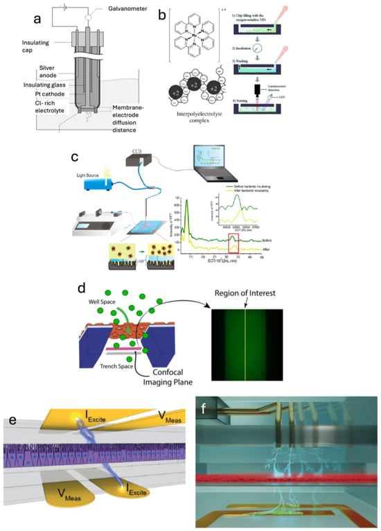 Sensors 25 05153 g004