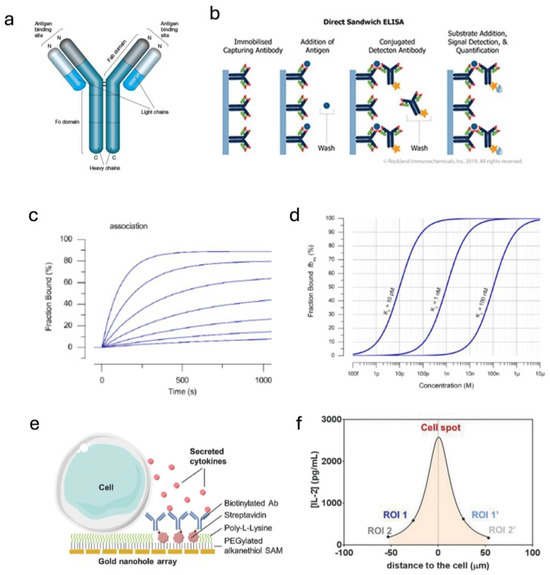 Sensors 25 05153 g005