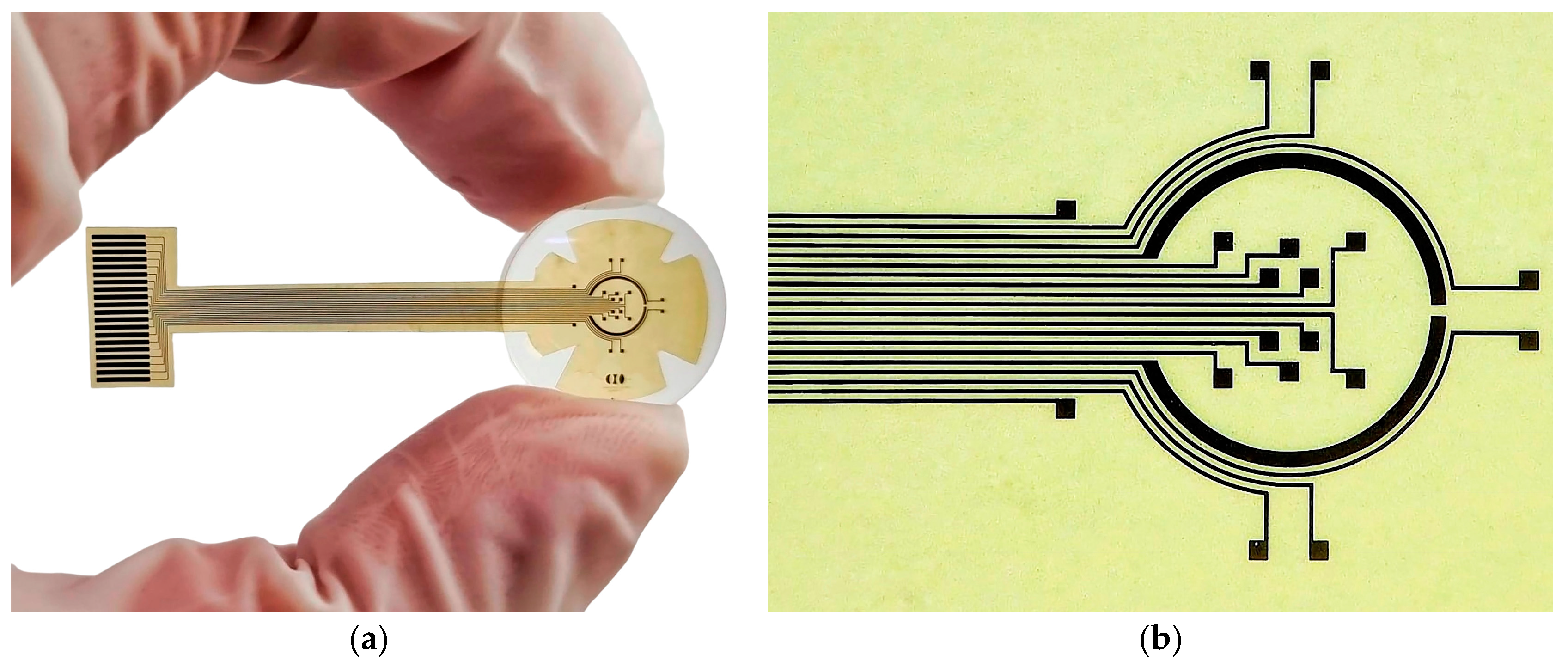 Sensors 25 05198 g004