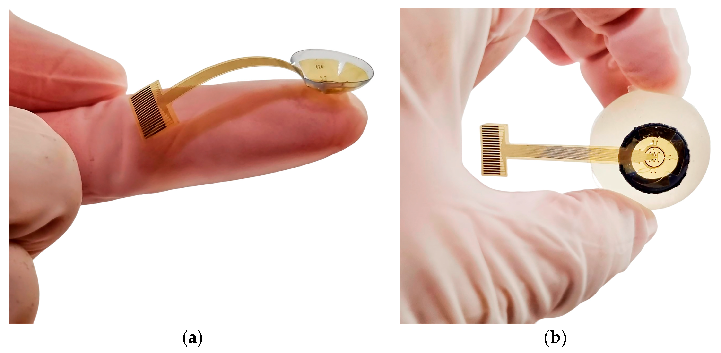Sensors 25 05198 g005