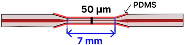 Sensors 25 05229 i003 Sensors 25 05229 i003