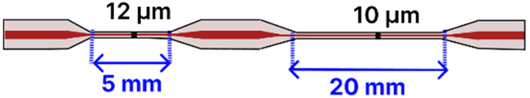 Sensors 25 05229 i004 Sensors 25 05229 i004