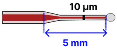 Sensors 25 05229 i008 Sensors 25 05229 i008