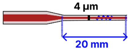 Sensors 25 05229 i009 Sensors 25 05229 i009