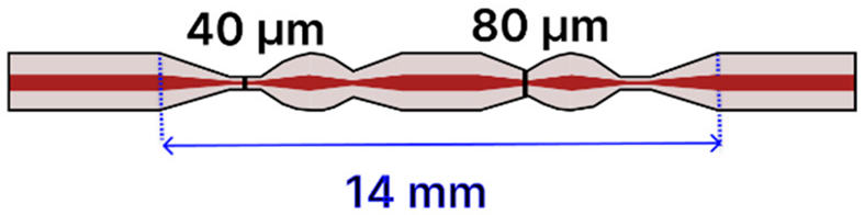 Sensors 25 05229 i015 Sensors 25 05229 i015