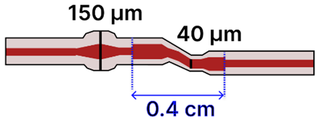 Sensors 25 05229 i016 Sensors 25 05229 i016
