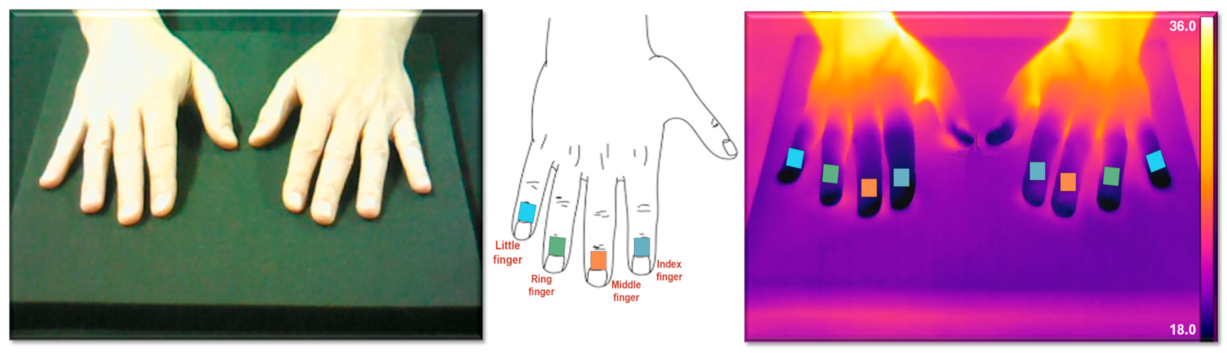 Sensors 25 05243 g001 Sensors 25 05243 g001
