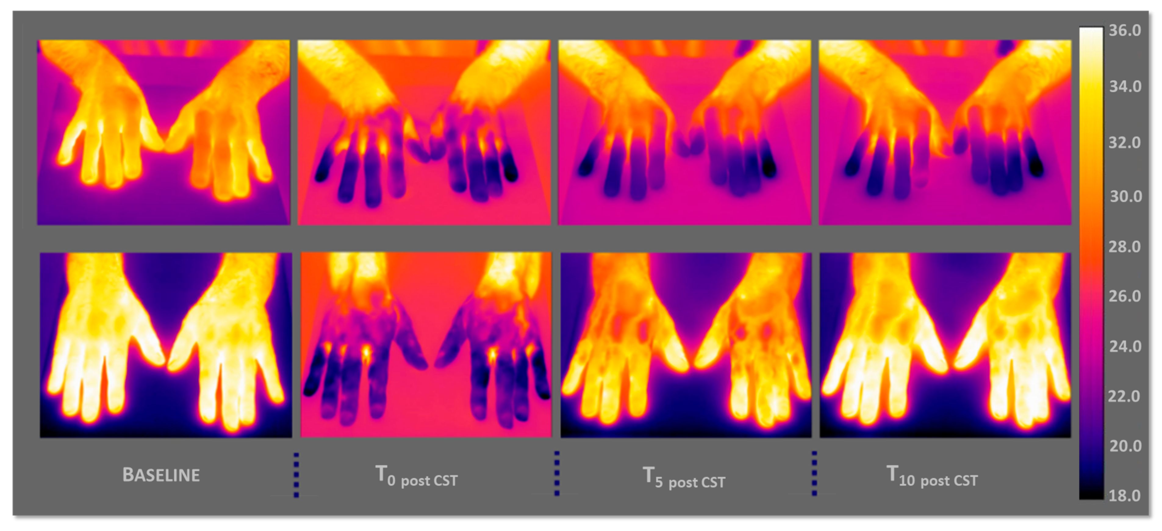 Sensors 25 05243 g005 Sensors 25 05243 g005
