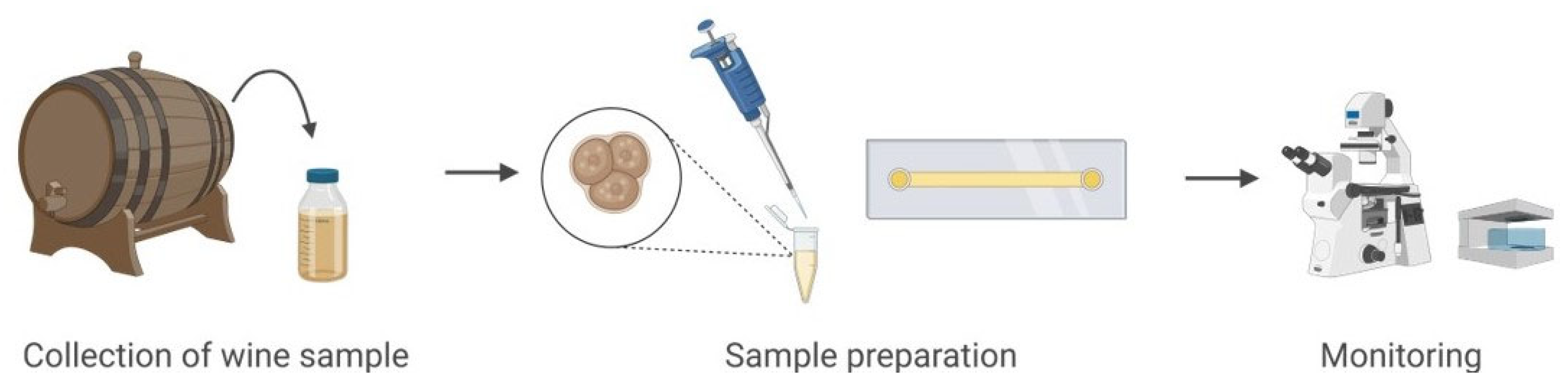 Sensors 25 05247 g003 Sensors 25 05247 g003