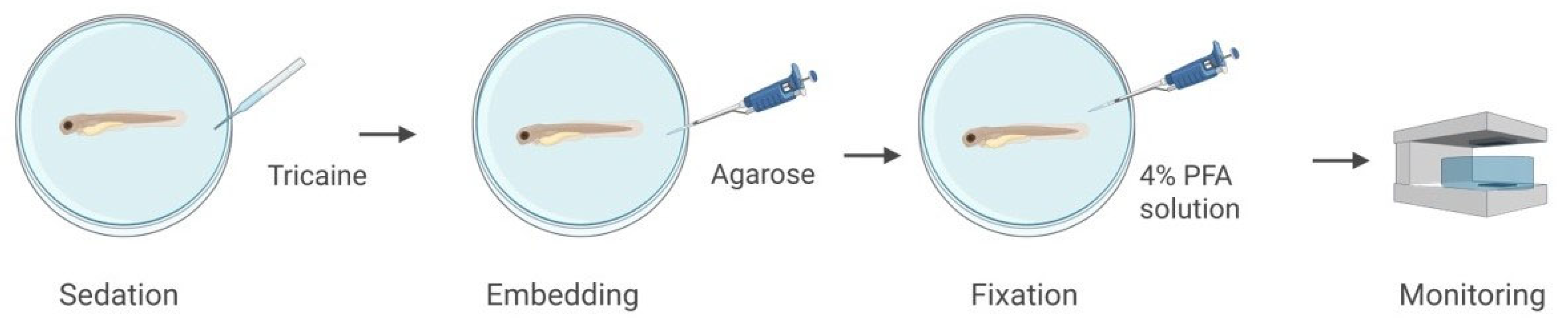 Sensors 25 05247 g004 Sensors 25 05247 g004