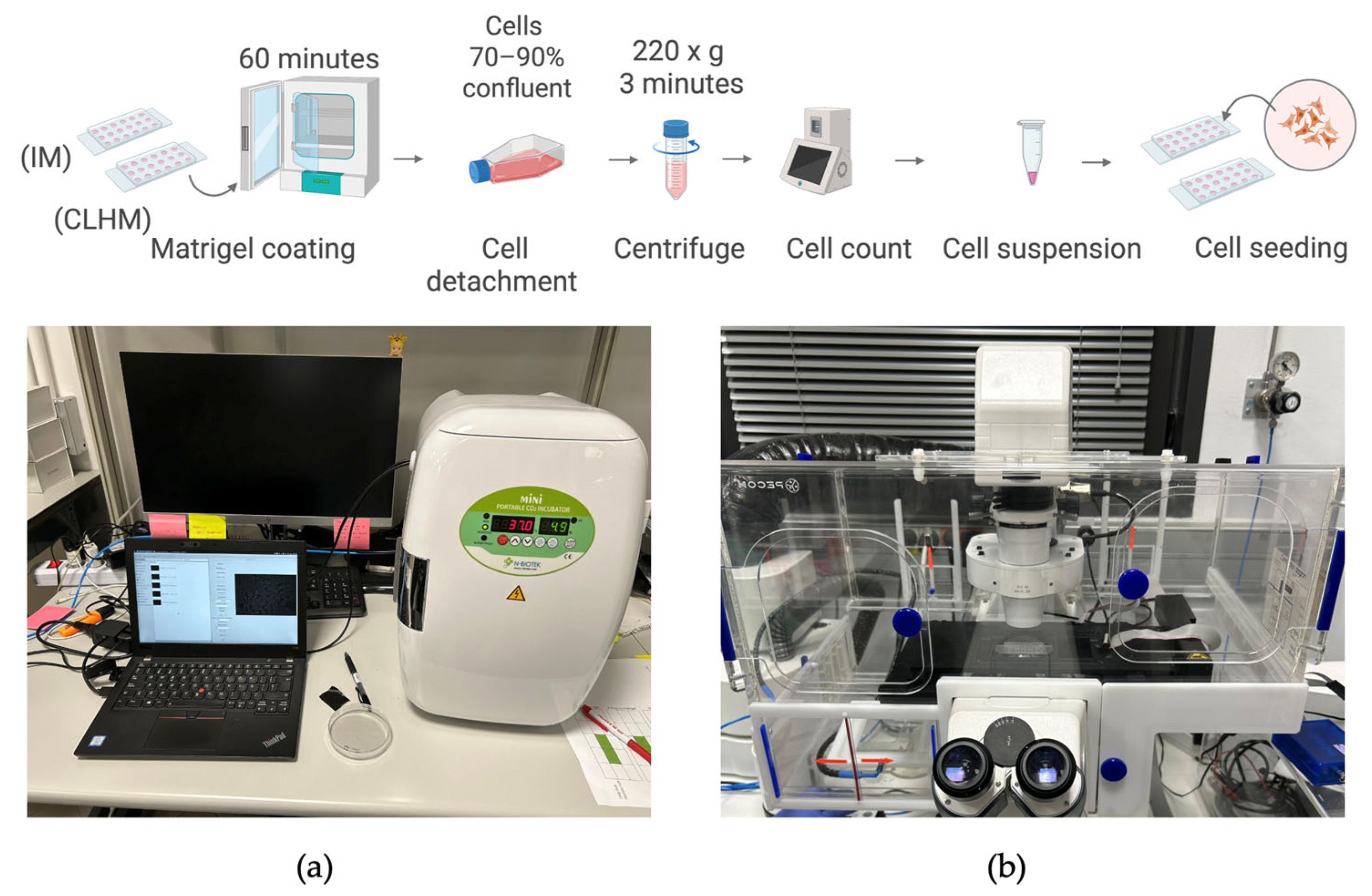 Sensors 25 05247 g005 Sensors 25 05247 g005