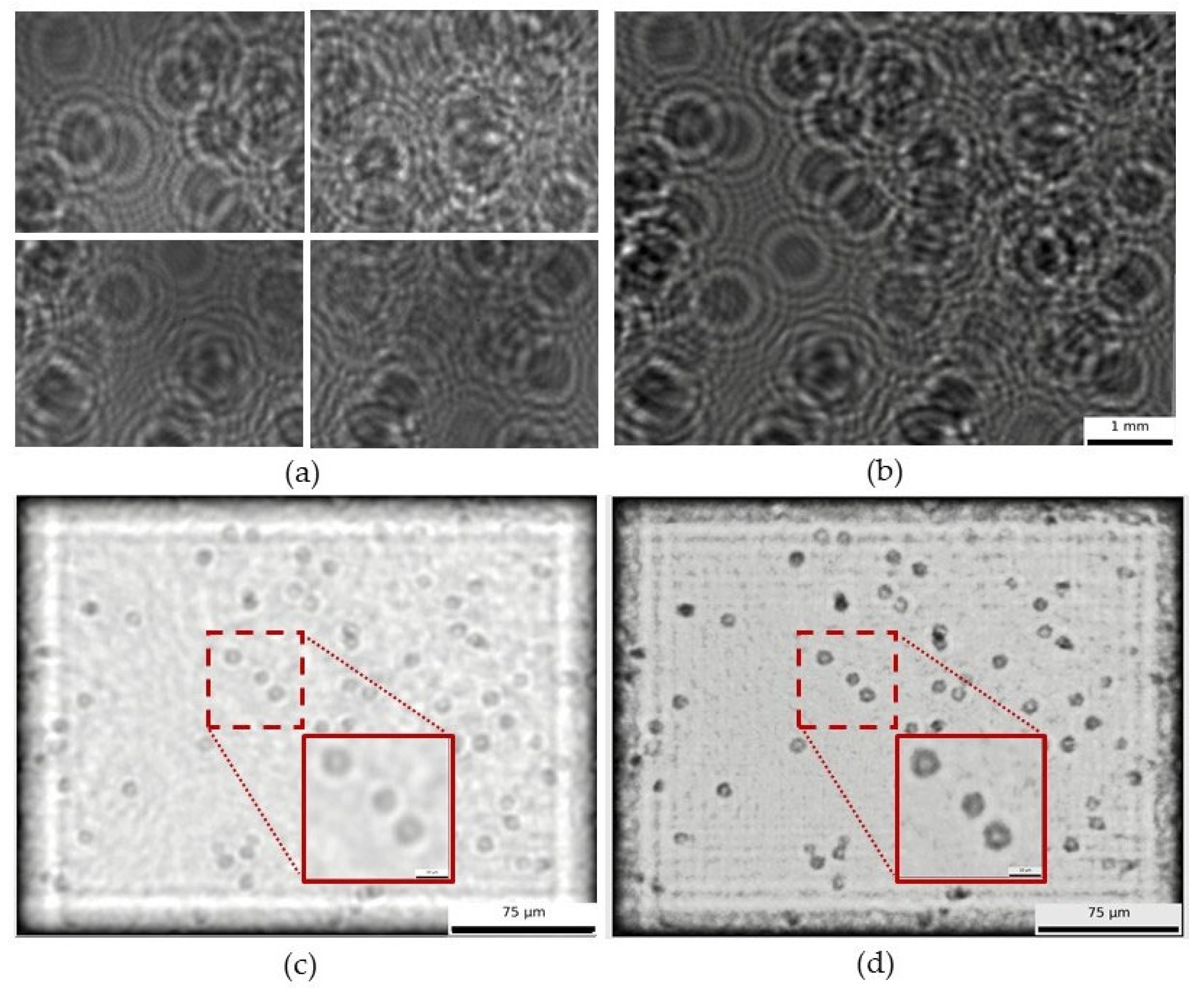 Sensors 25 05247 g008 Sensors 25 05247 g008