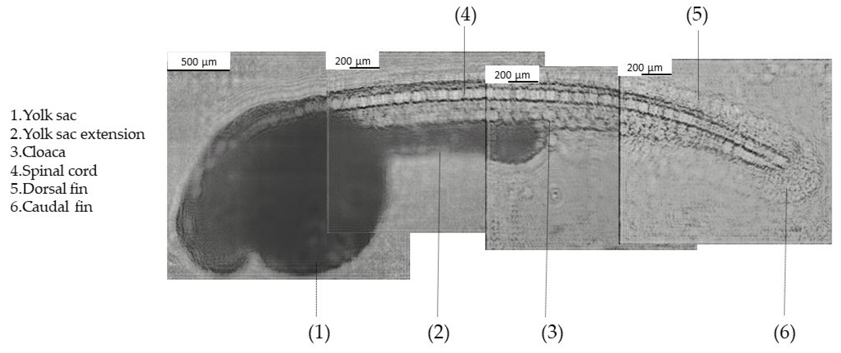 Sensors 25 05247 g009 Sensors 25 05247 g009