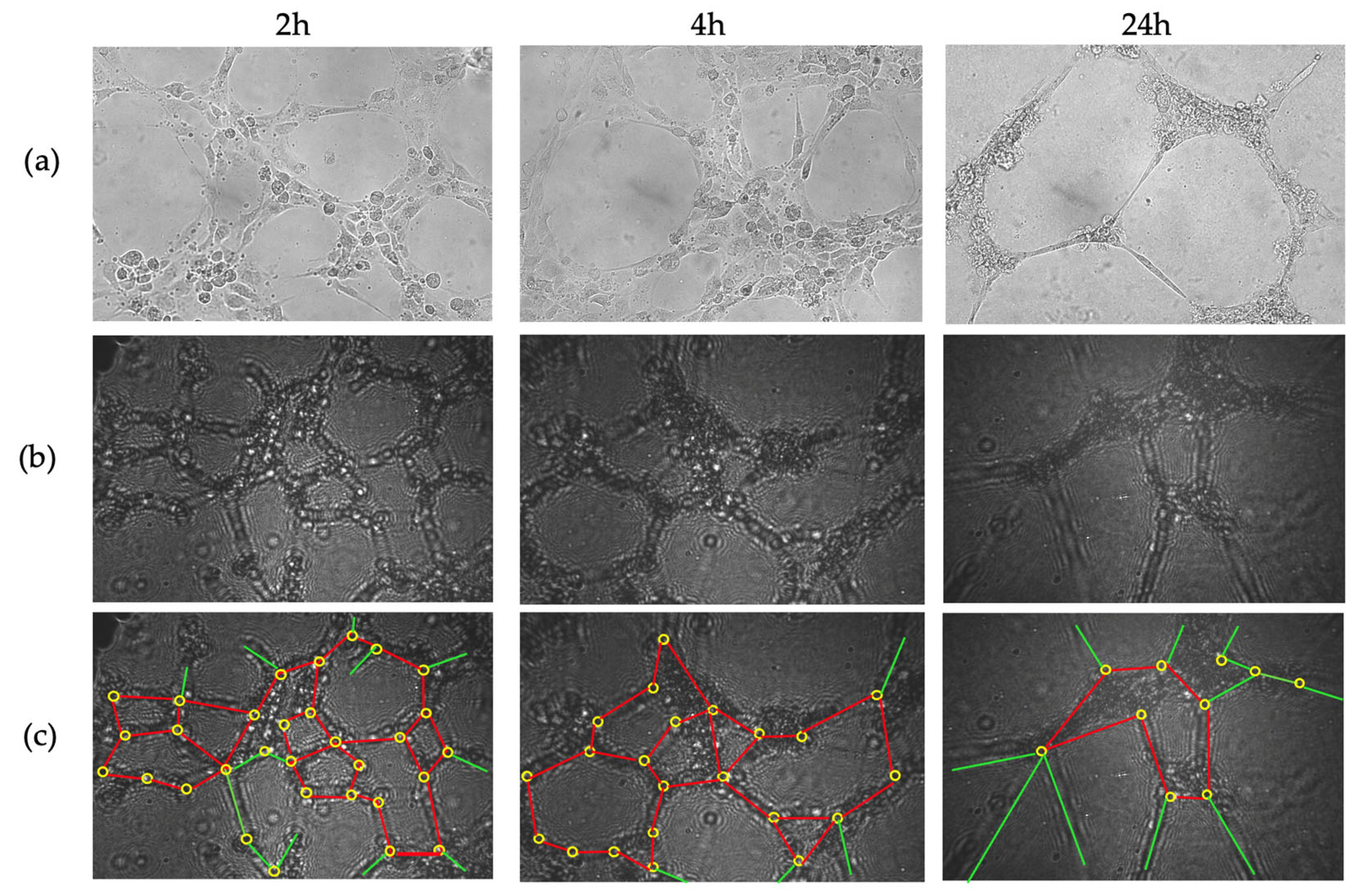 Sensors 25 05247 g010 Sensors 25 05247 g010