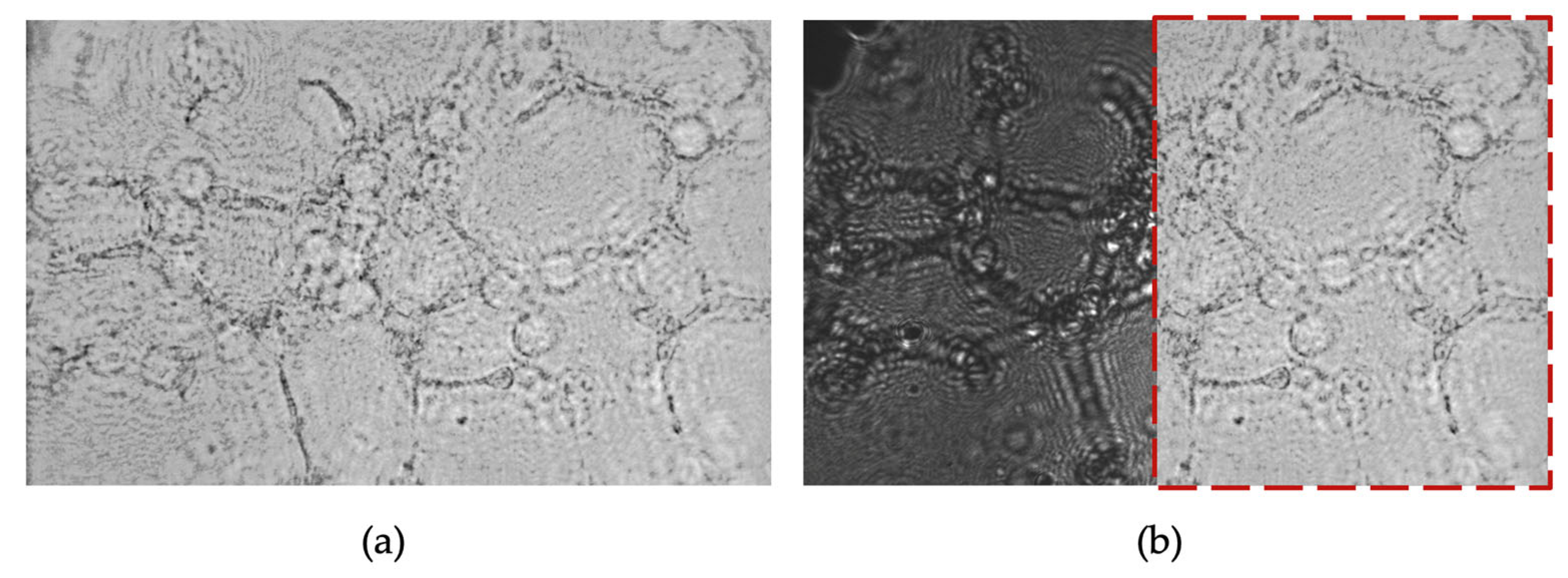 Sensors 25 05247 g011 Sensors 25 05247 g011