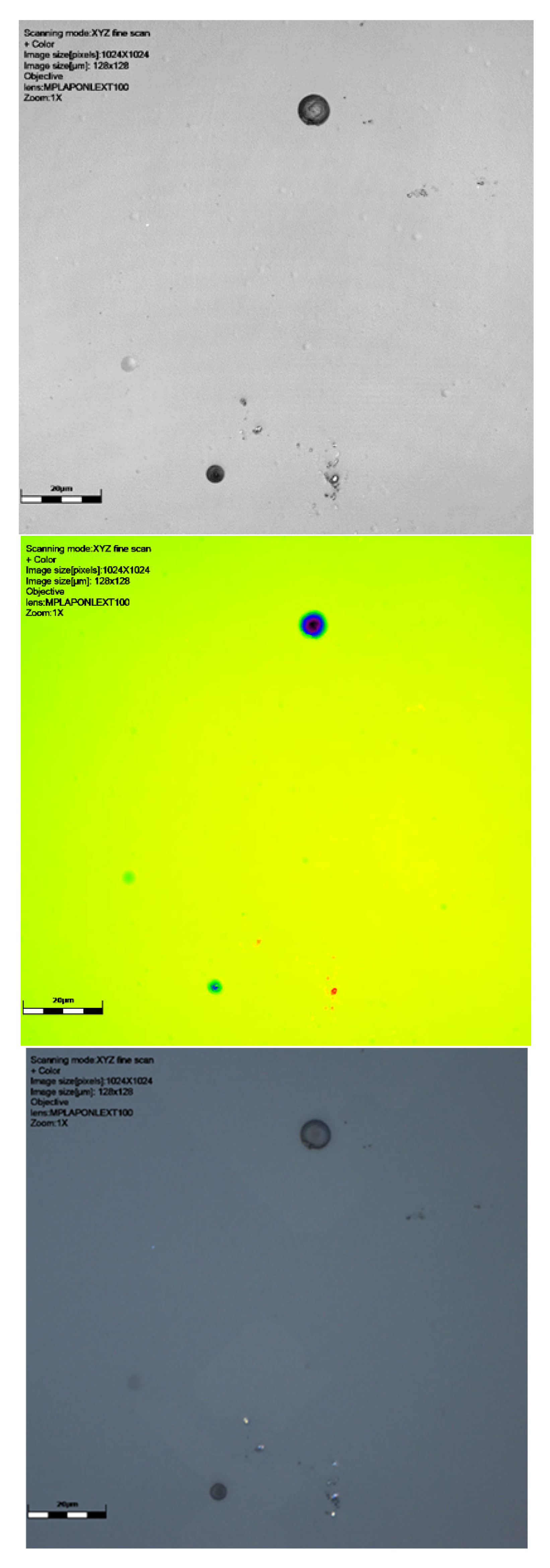 Sensors 25 05256 g002a