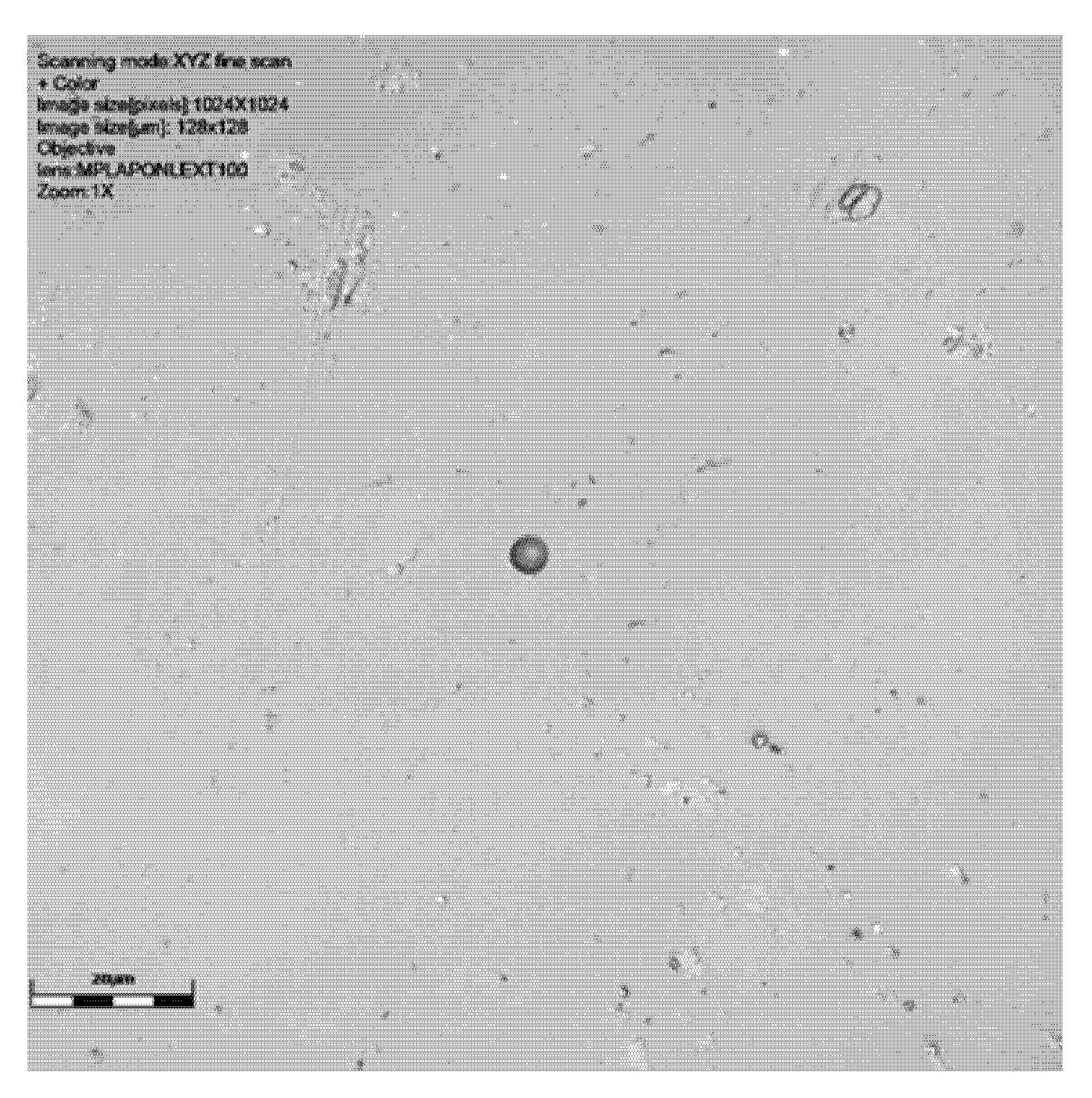 Sensors 25 05256 g004a