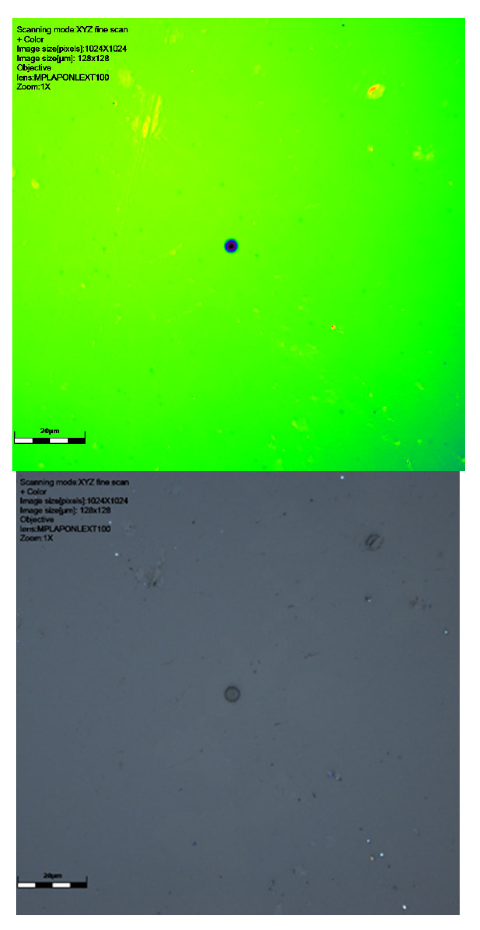 Sensors 25 05256 g004b