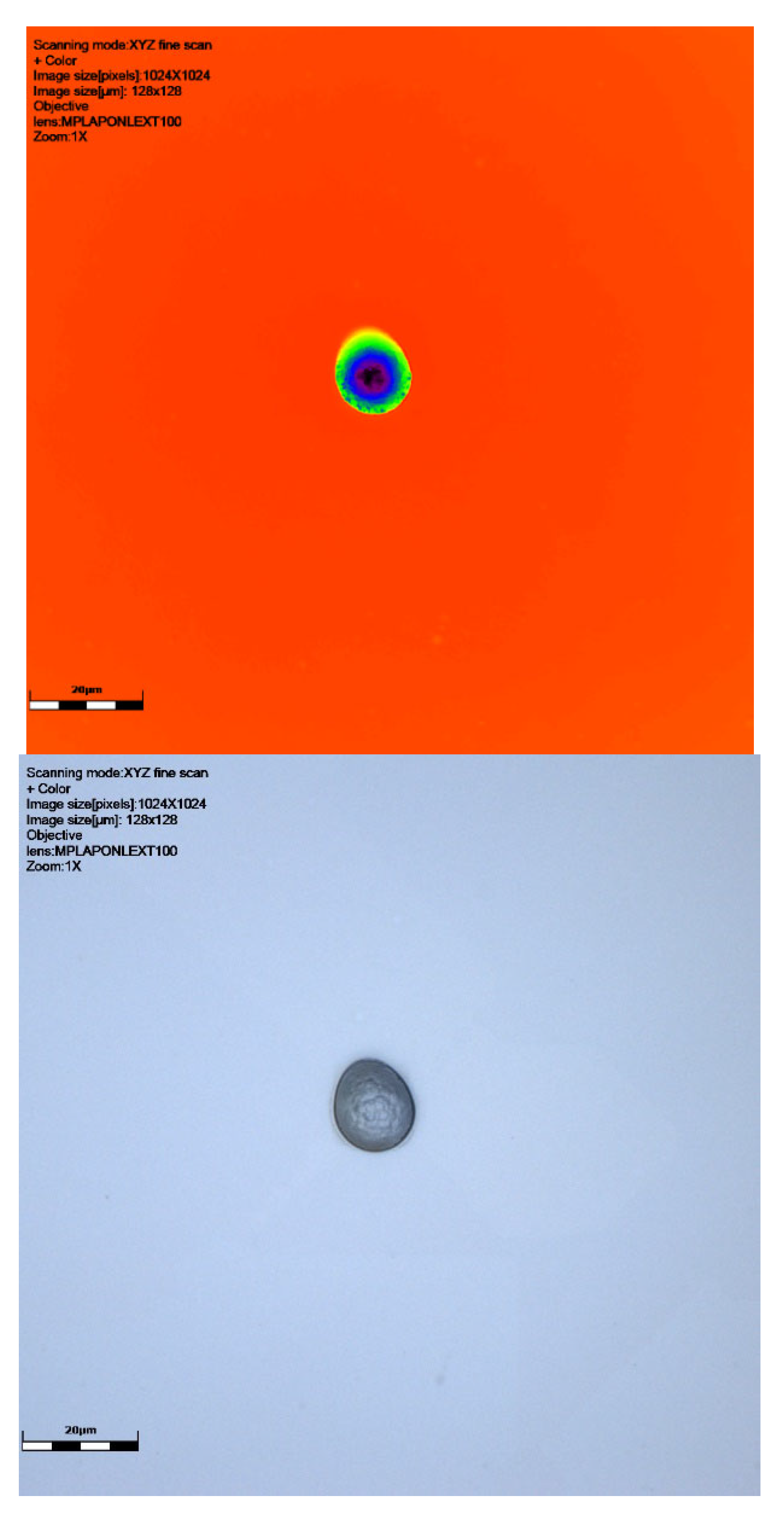 Sensors 25 05256 g005b