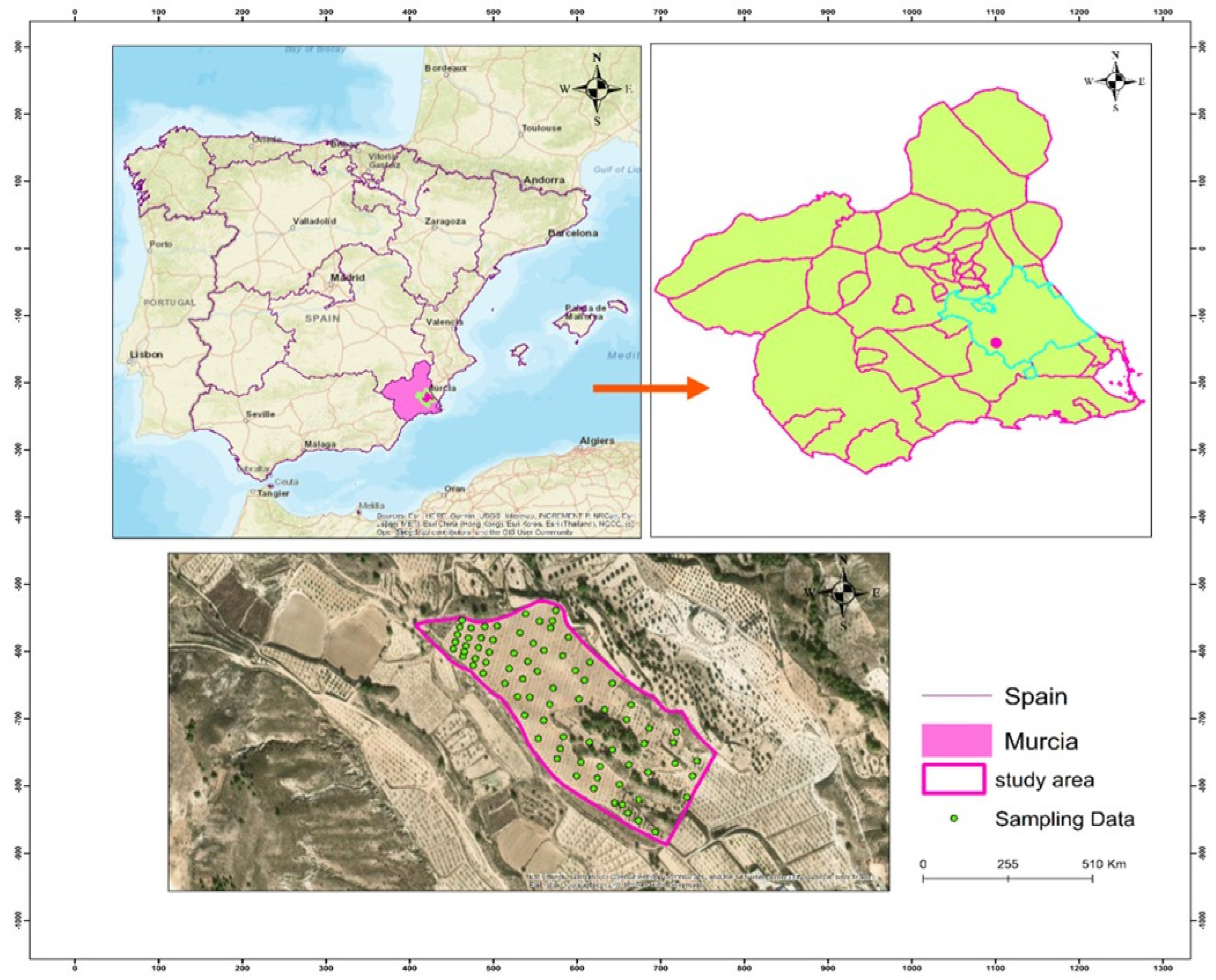 Sensors 25 05281 g001