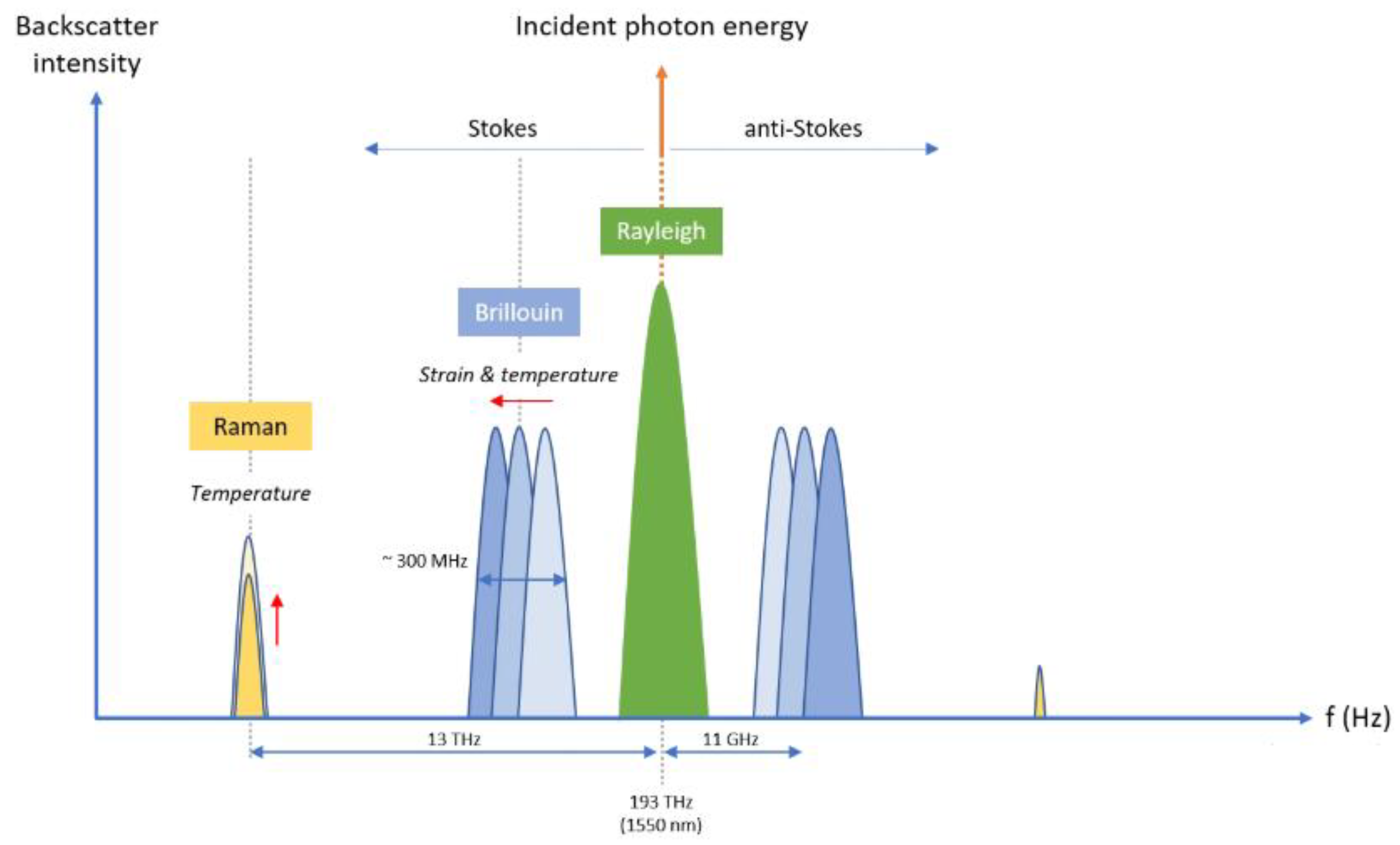 Sensors 25 05283 g008