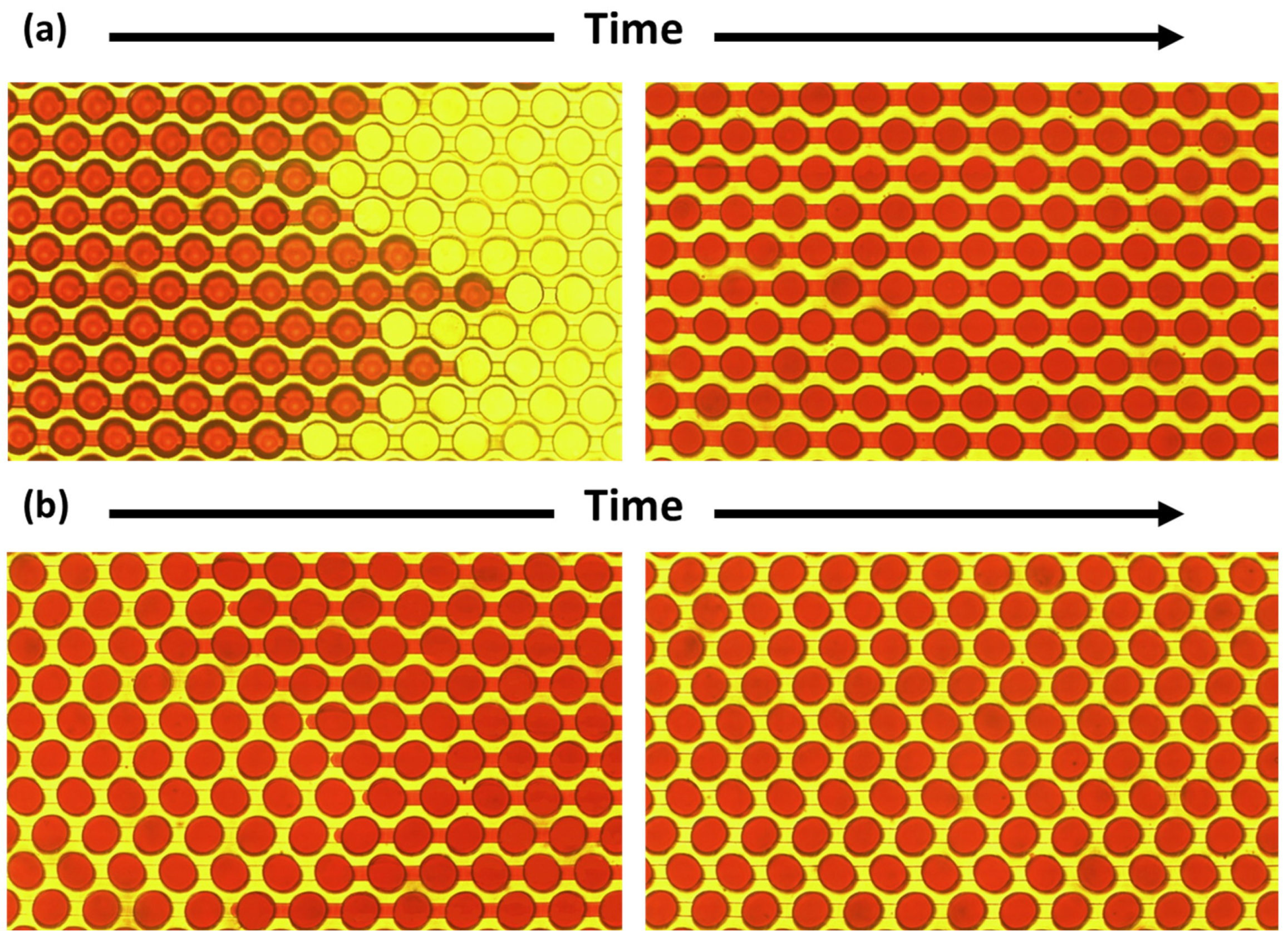 Sensors 25 05379 g004
