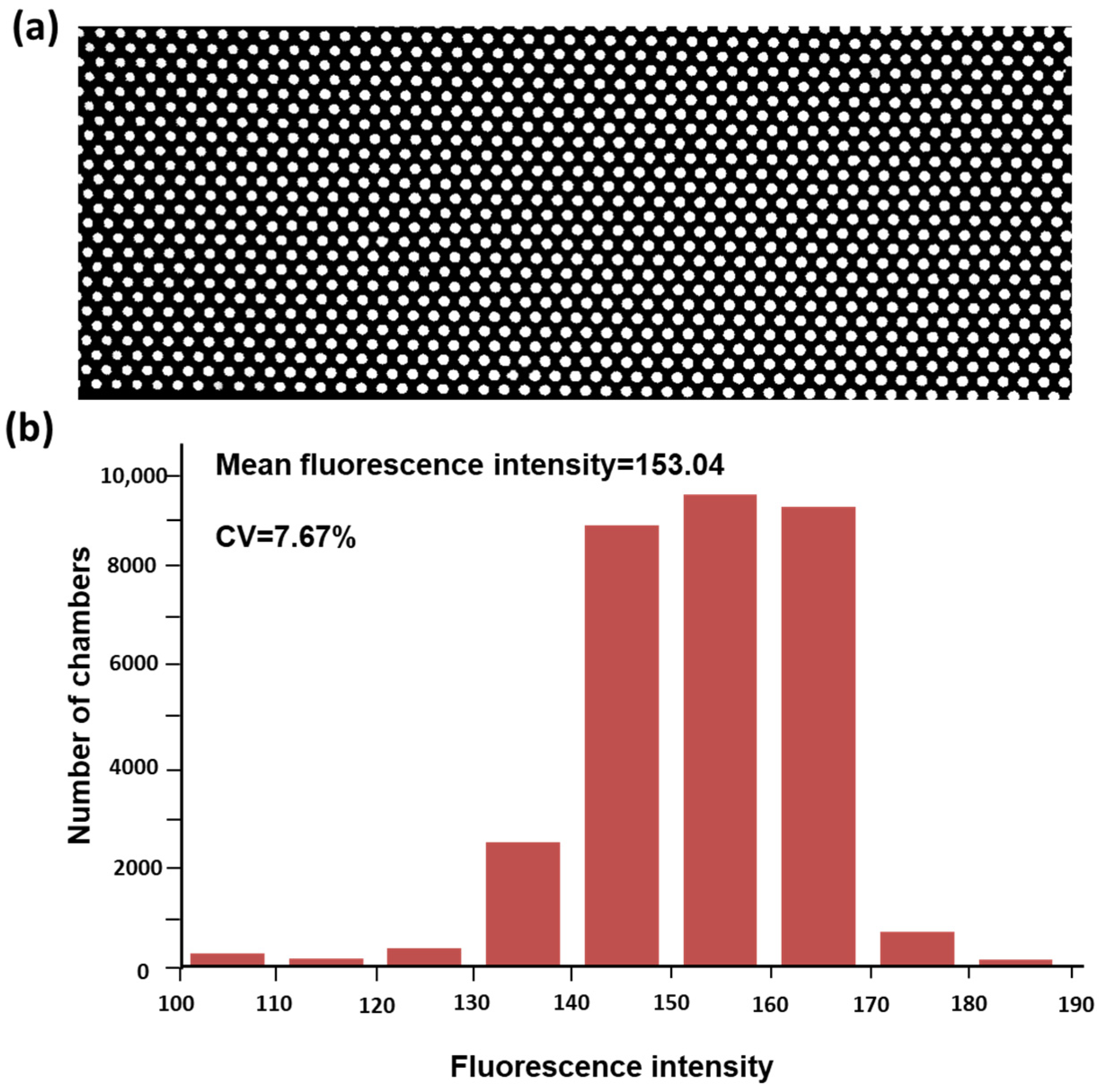 Sensors 25 05379 g005