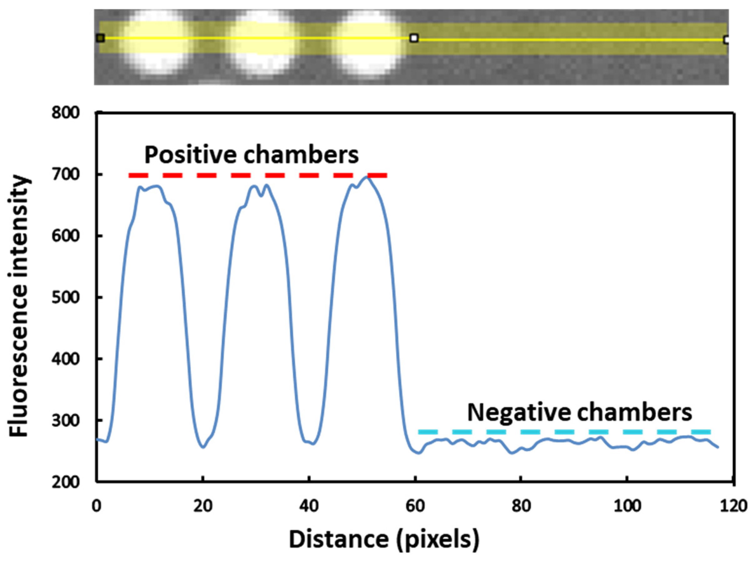 Sensors 25 05379 g006