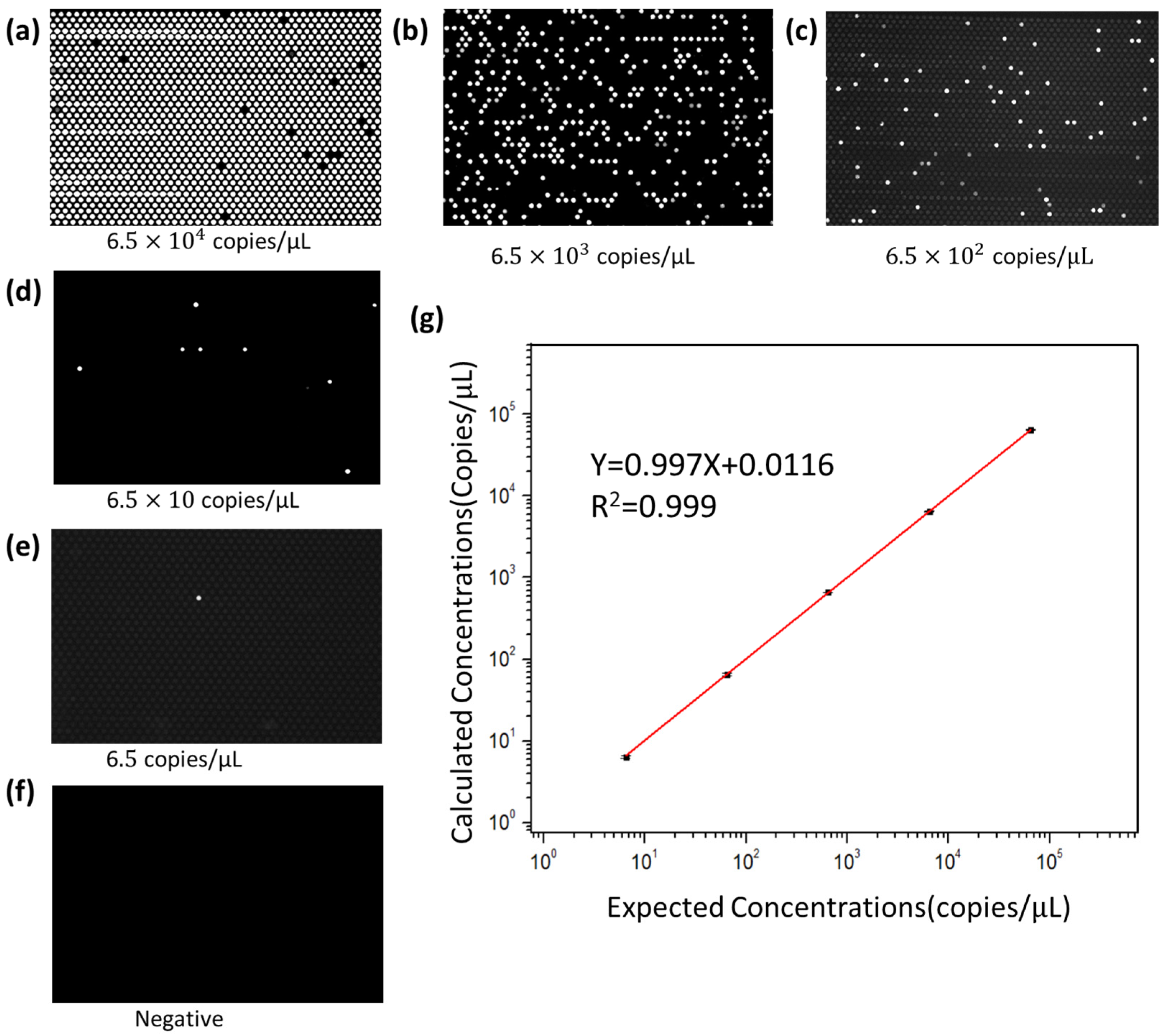 Sensors 25 05379 g007