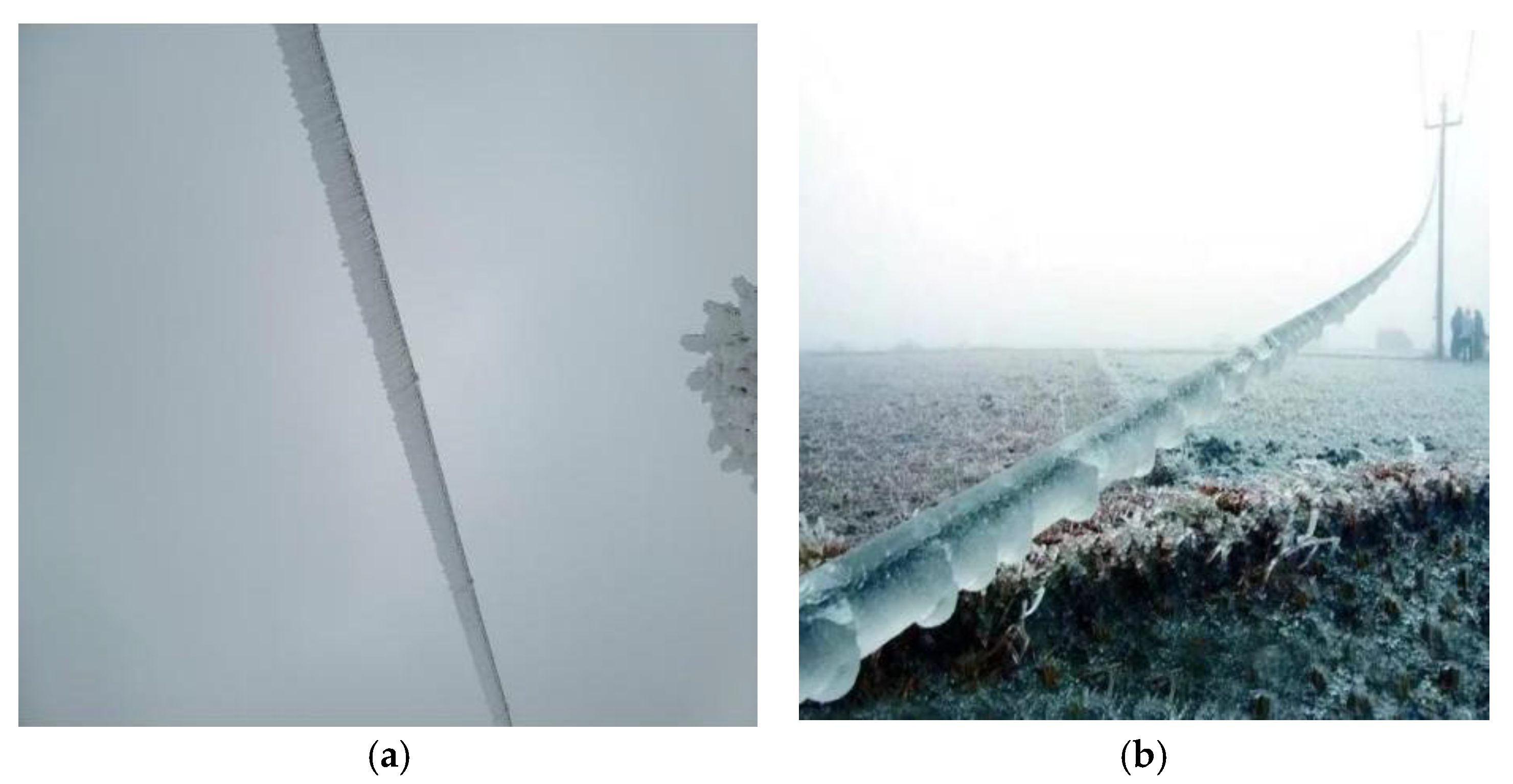 Sensors 25 05421 g008