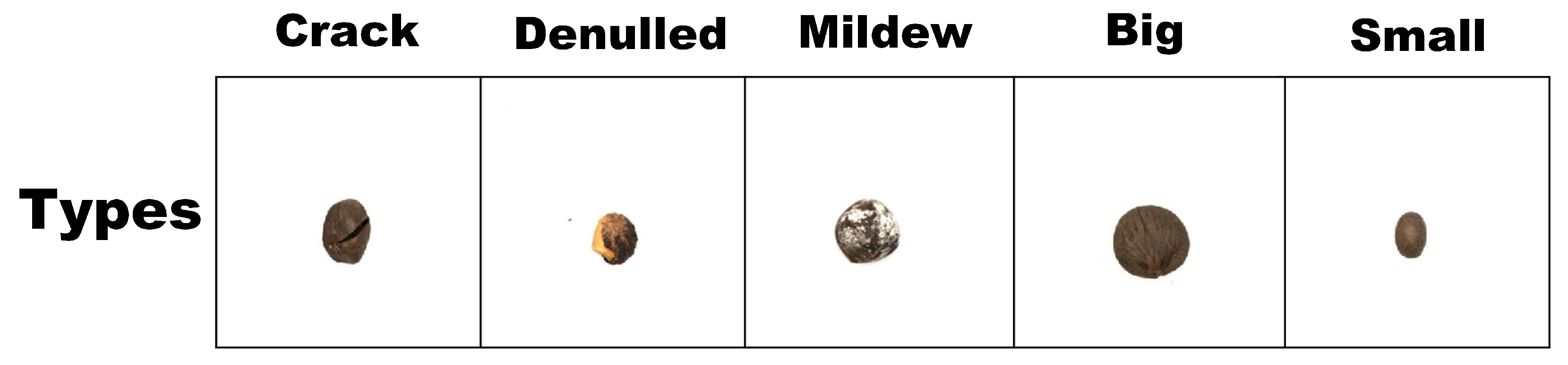 Sensors 25 05446 g001