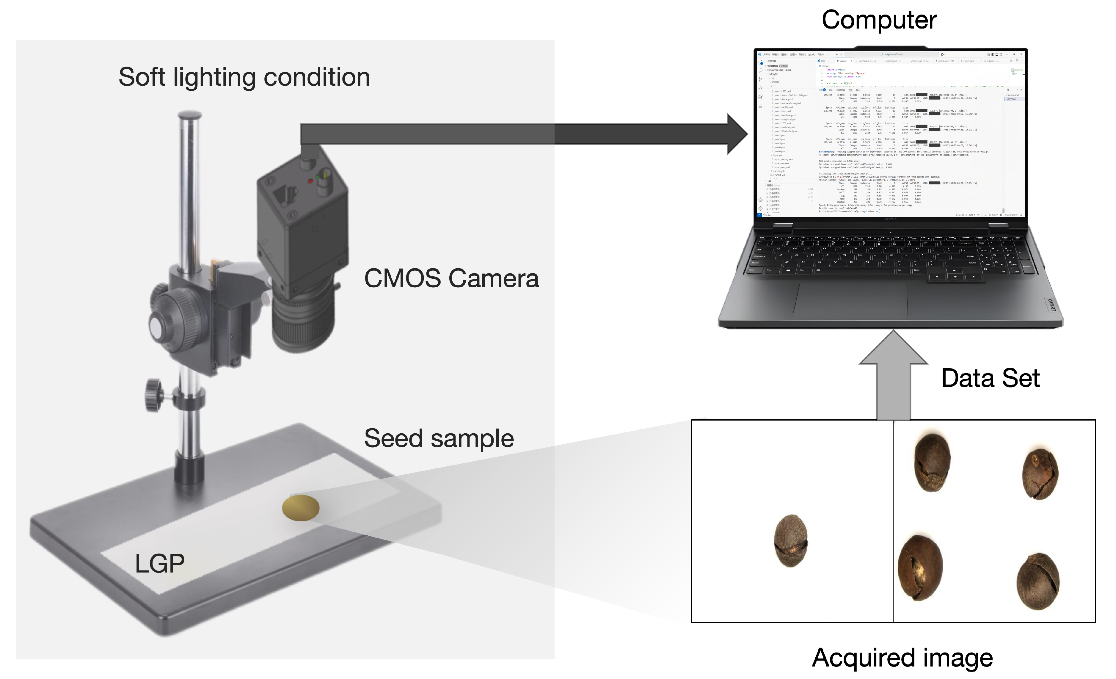 Sensors 25 05446 g002