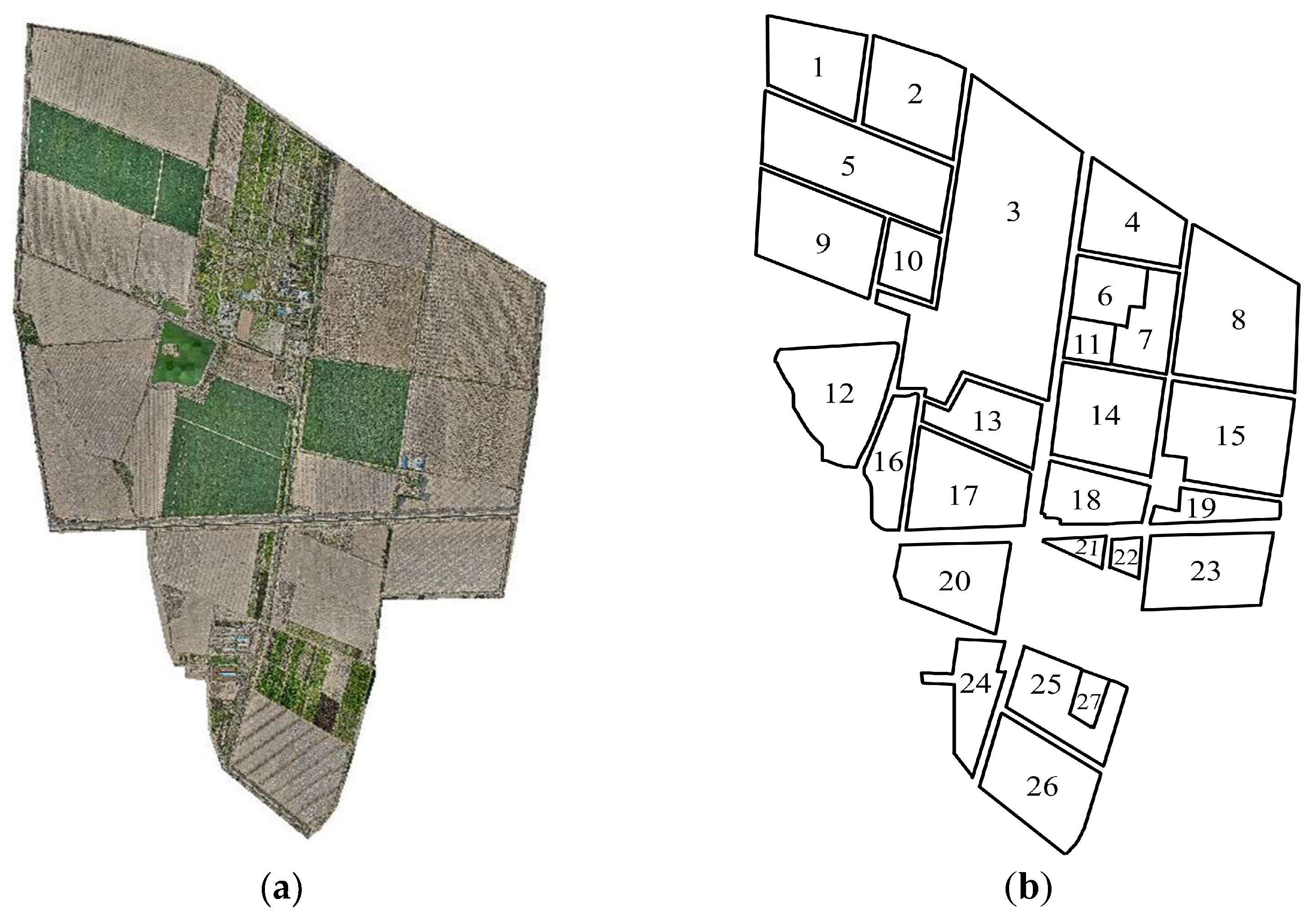 Sensors 25 05468 g001