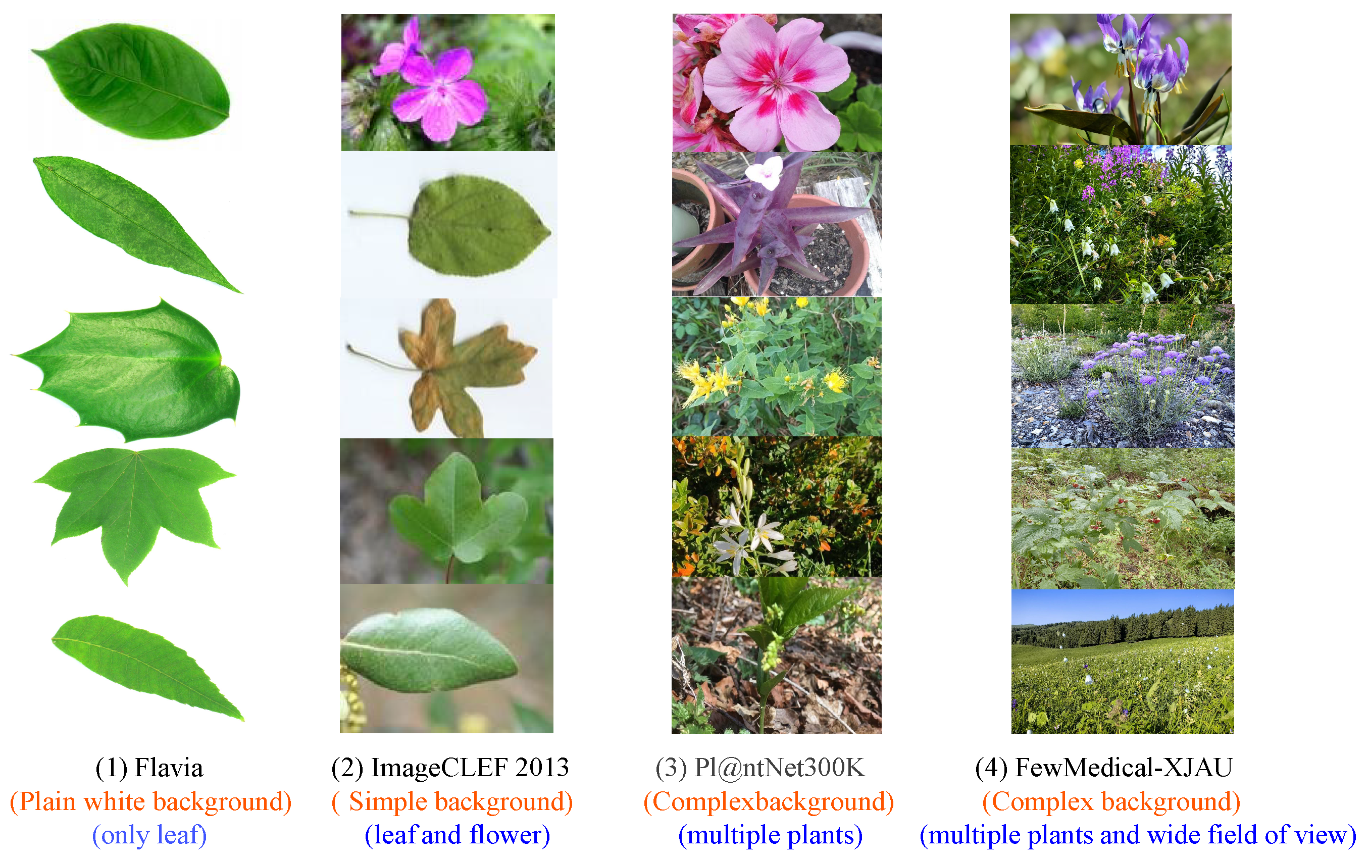 Sensors 25 05499 g002